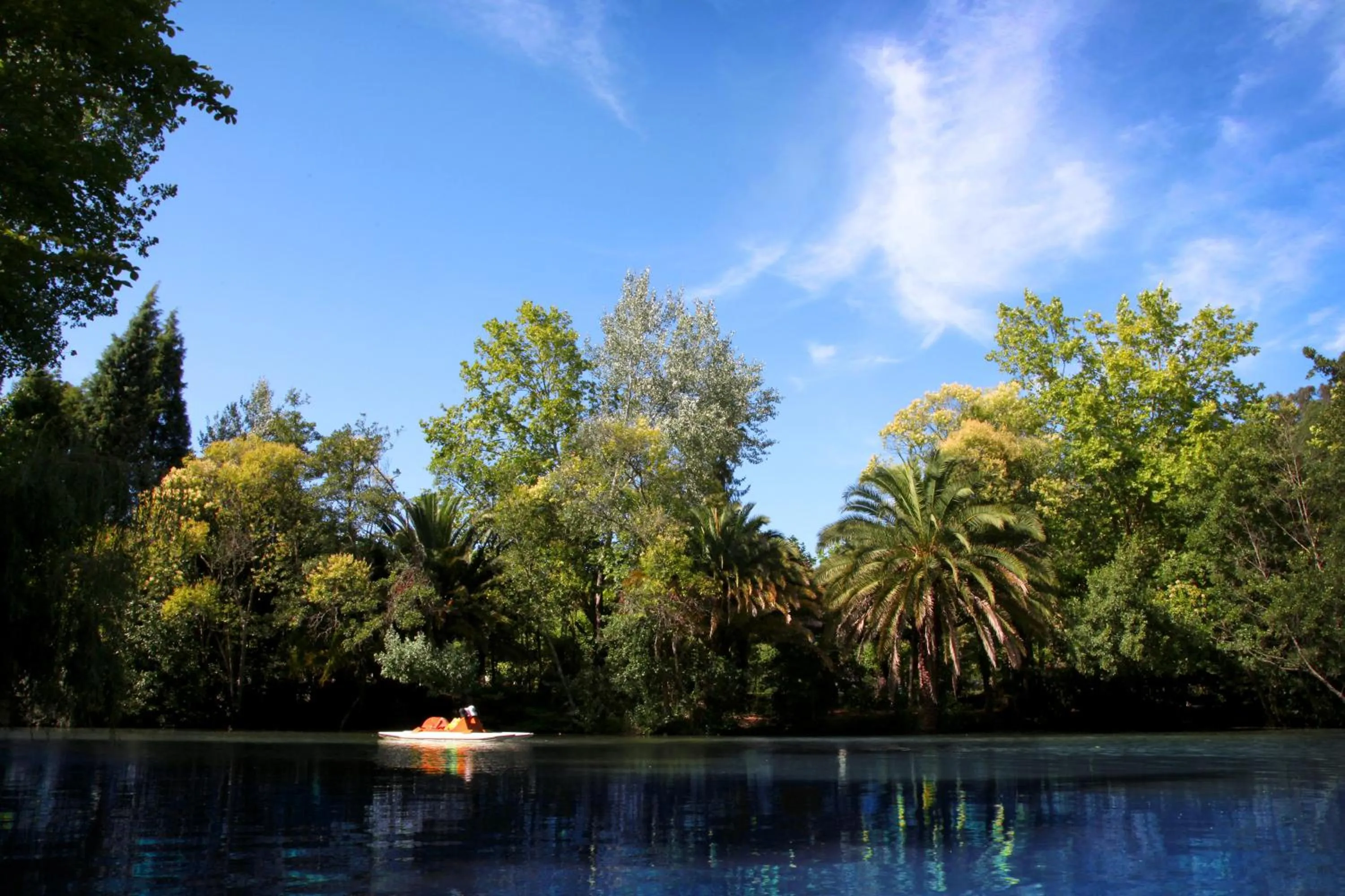 Area and facilities in Hotel Termas da Curia