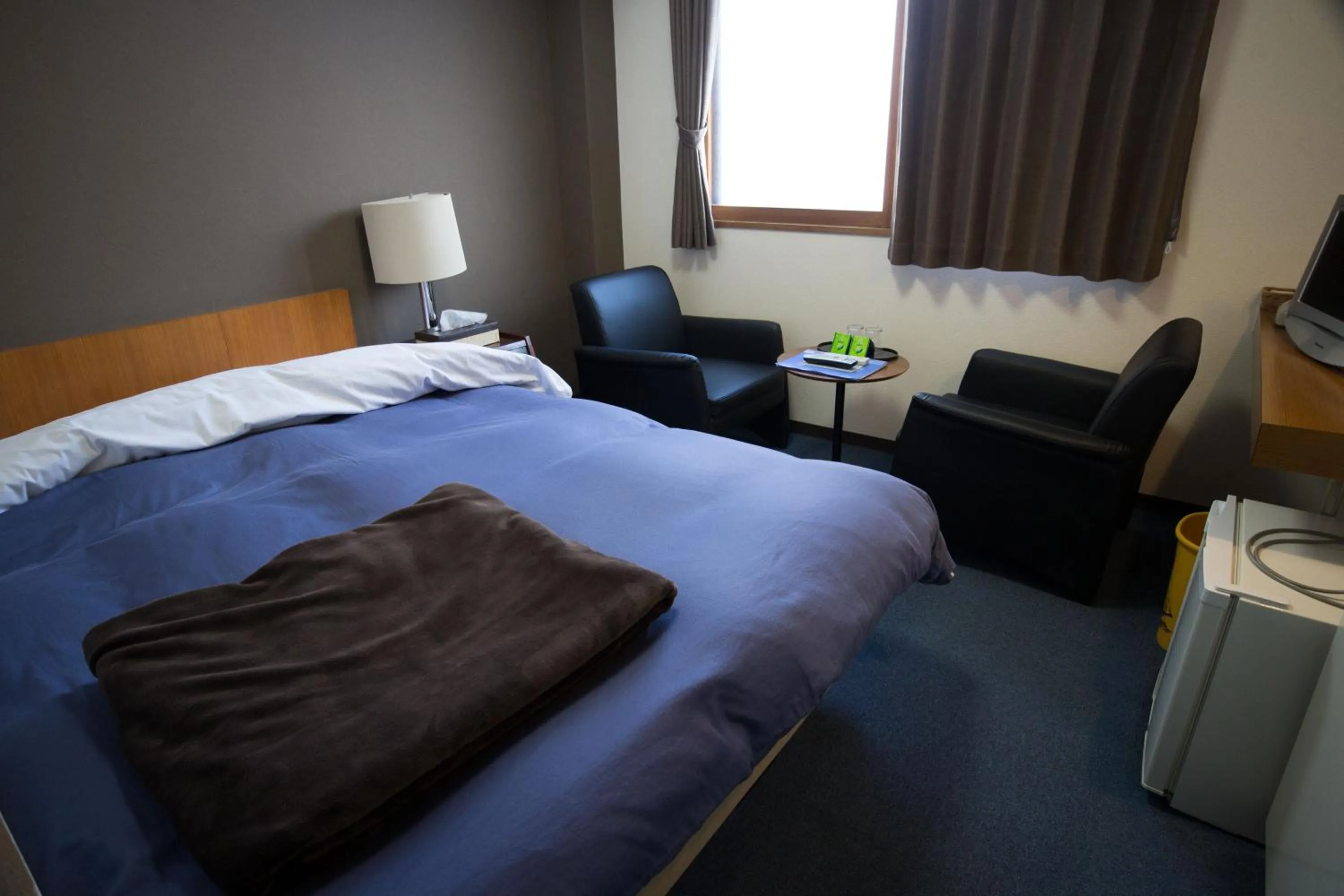 Photo of the whole room in Hotel Nakanoshima