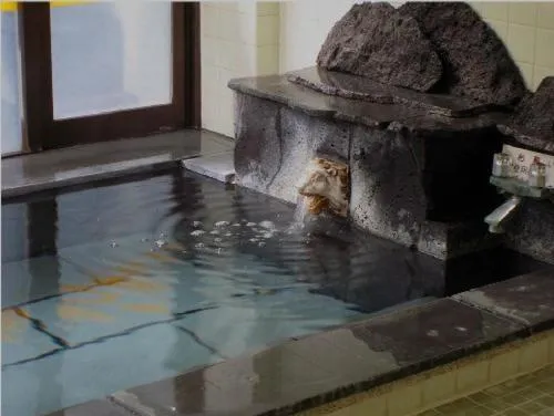 Spa and wellness centre/facilities in Pension Ohno