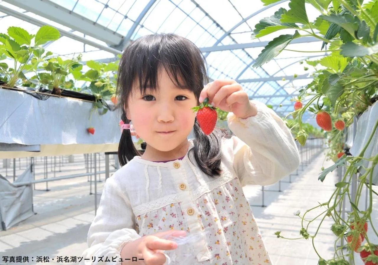 Nearby landmark in Hotel Sorriso Hamamatsu