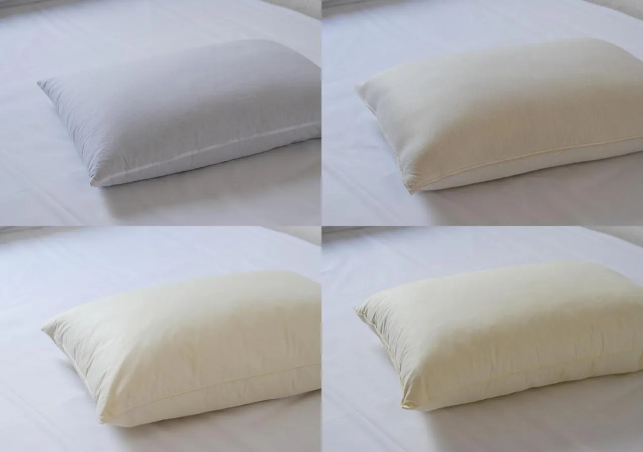 Photo of the whole room, Bed in Hamamatsu Hotel