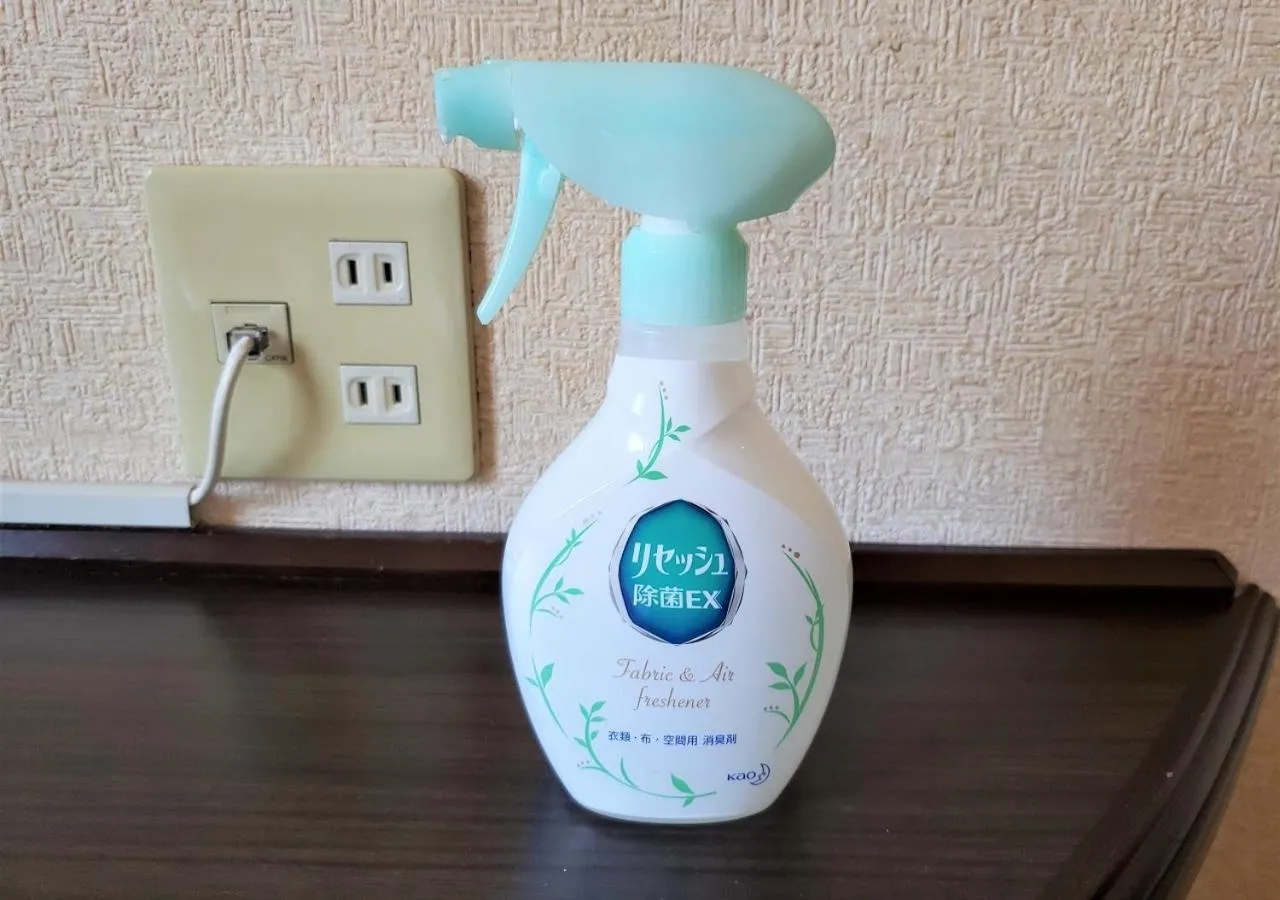 Photo of the whole room in Hamamatsu Hotel