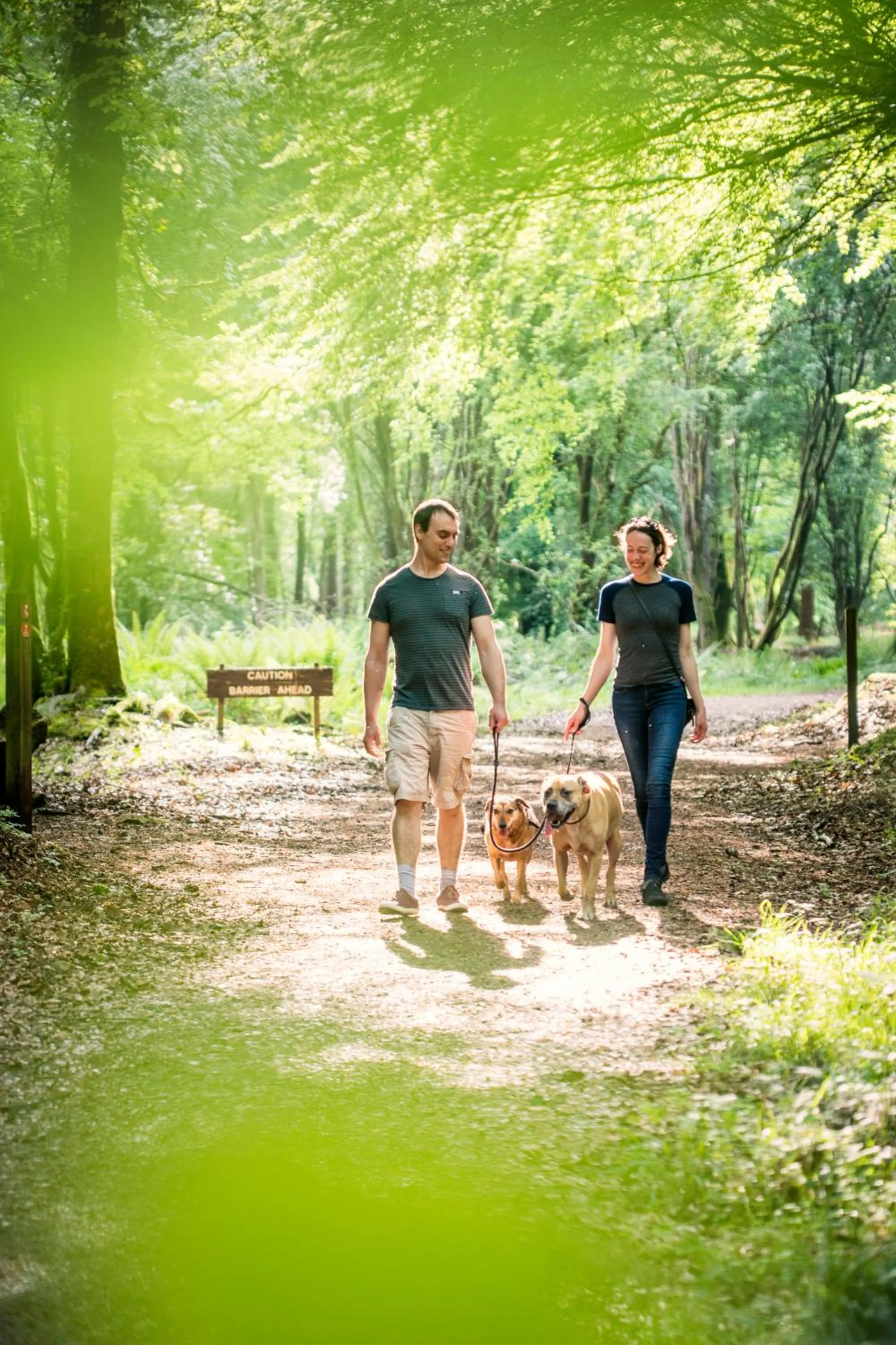 Natural landscape in Loughrea Hotel & Spa
