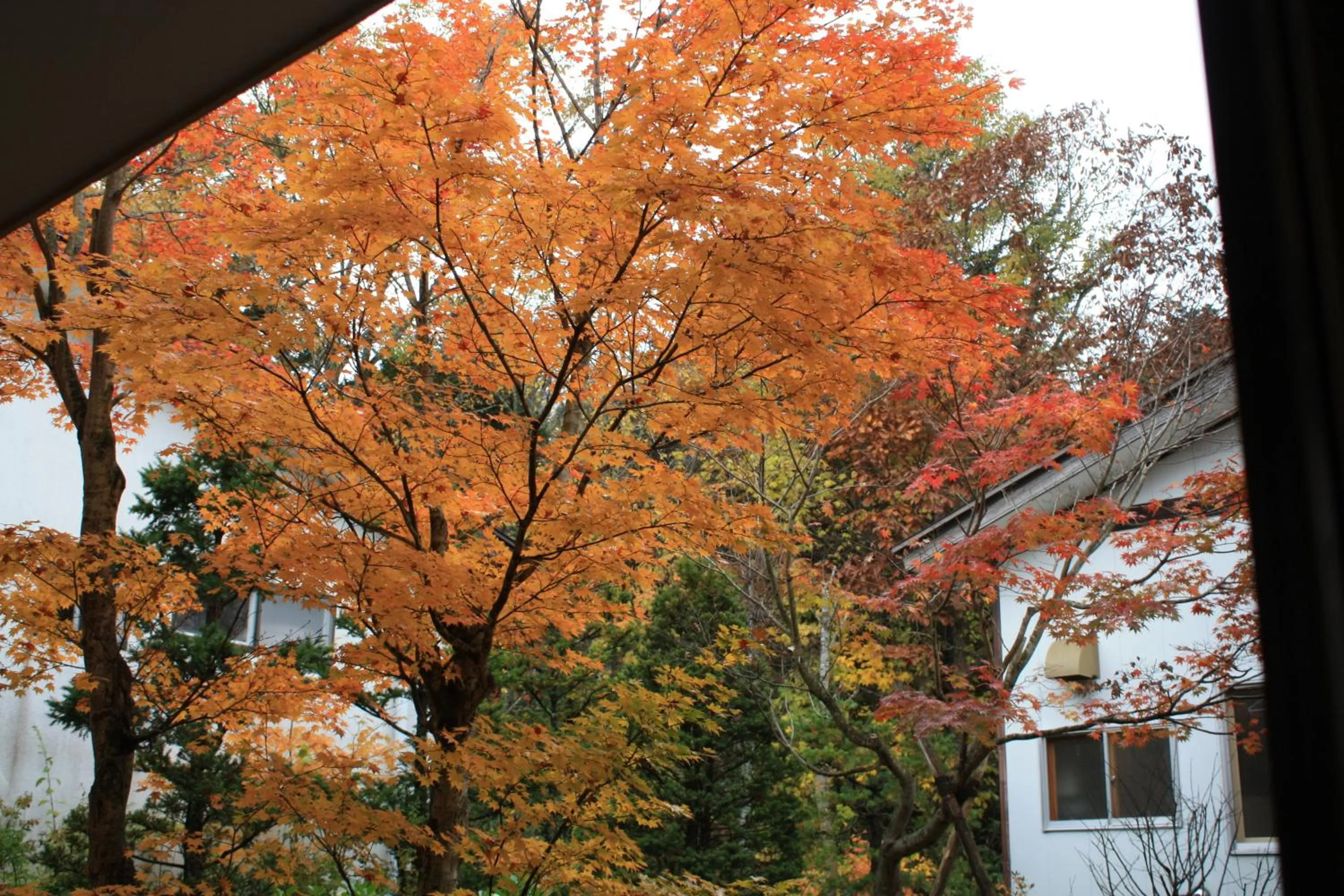 View (from property/room) in Sanseikan