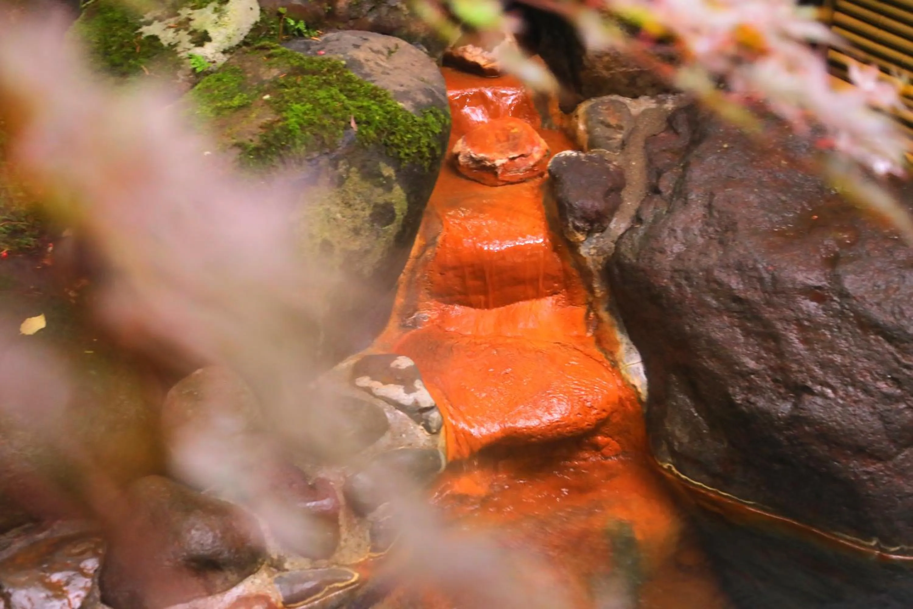 Hot Spring Bath in Sanseikan