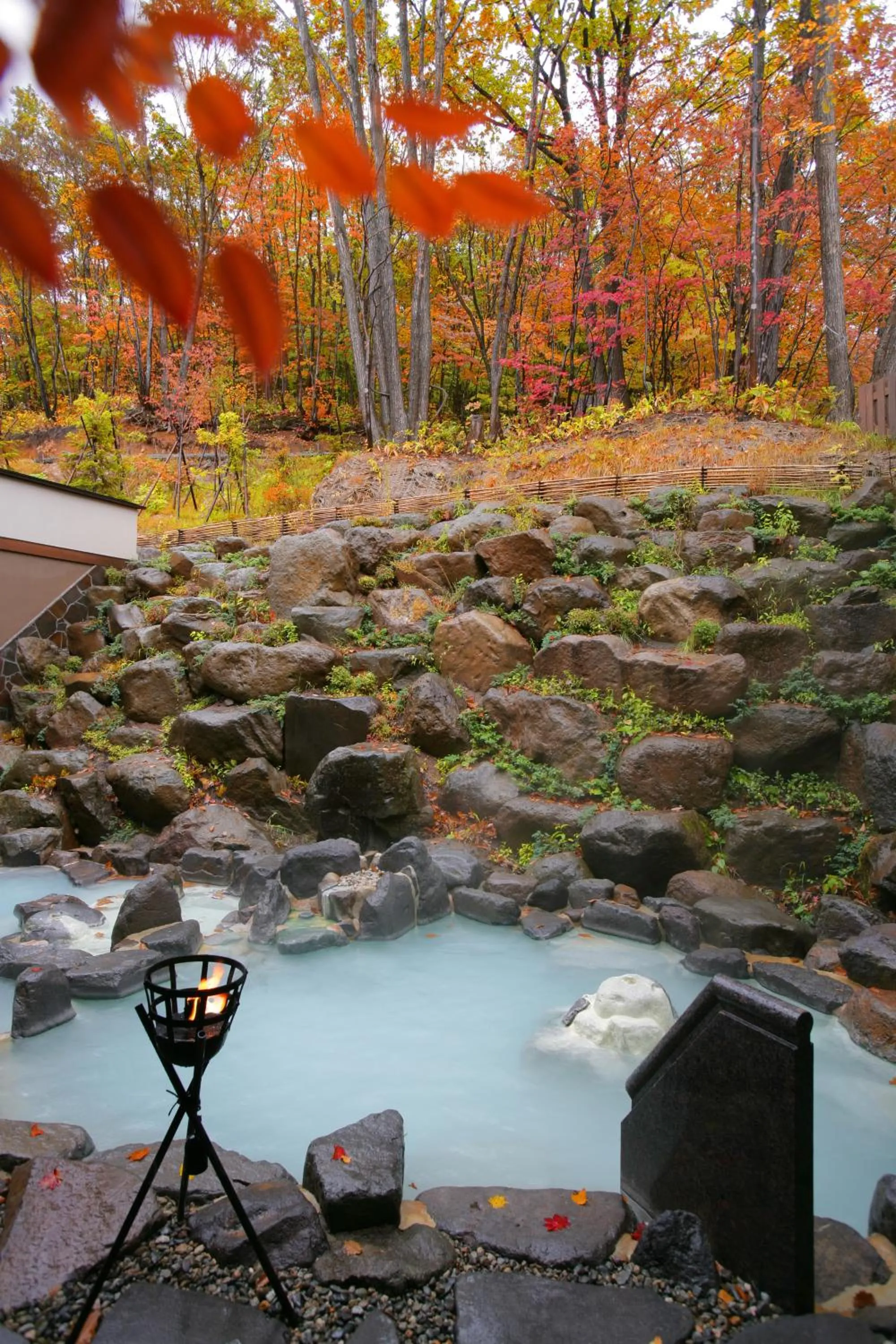 Natural landscape in Zao Kokusai Hotel