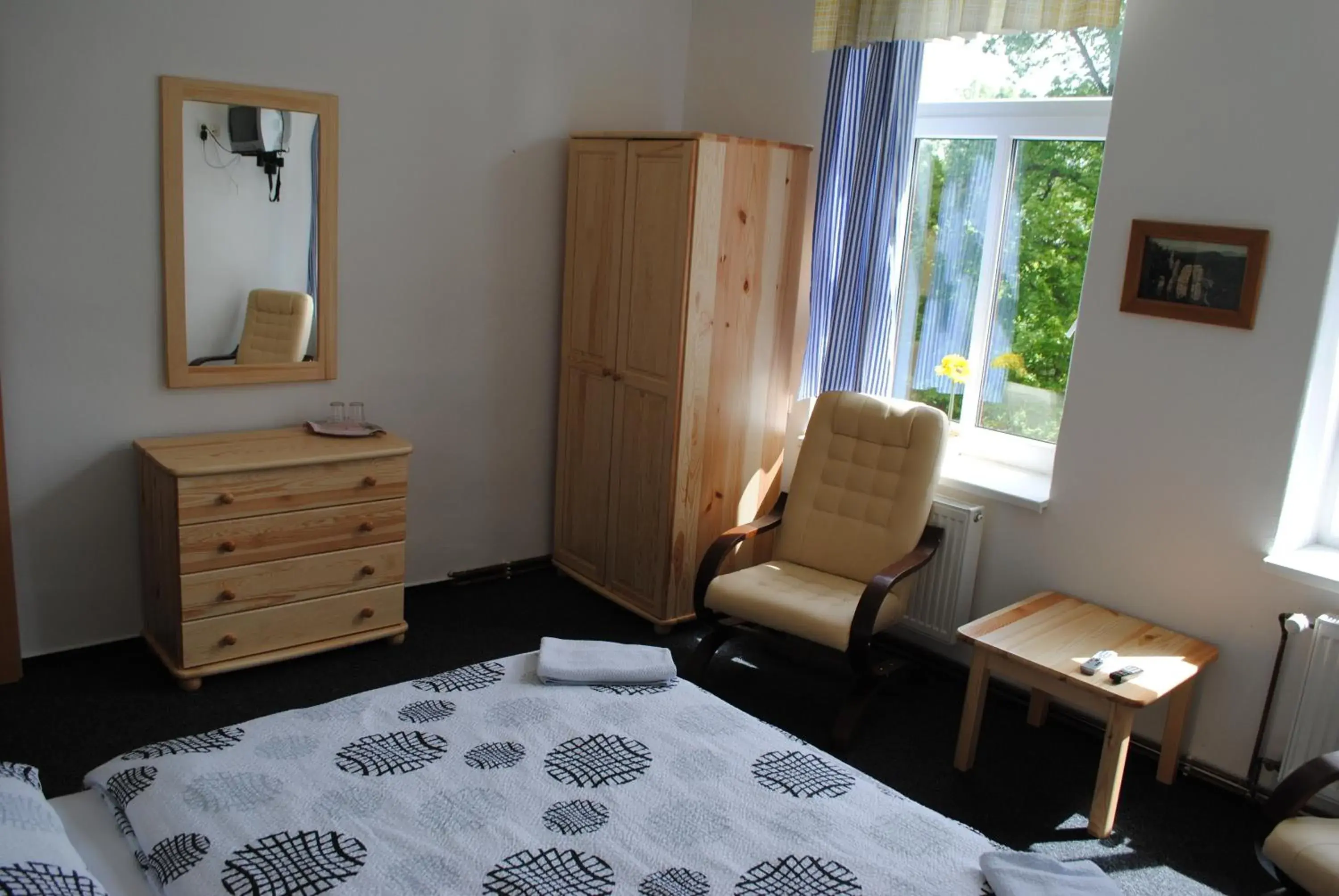 Double Room in Hotel pod Šikmou Věží Double Room in Hotel pod Šikmou Věží