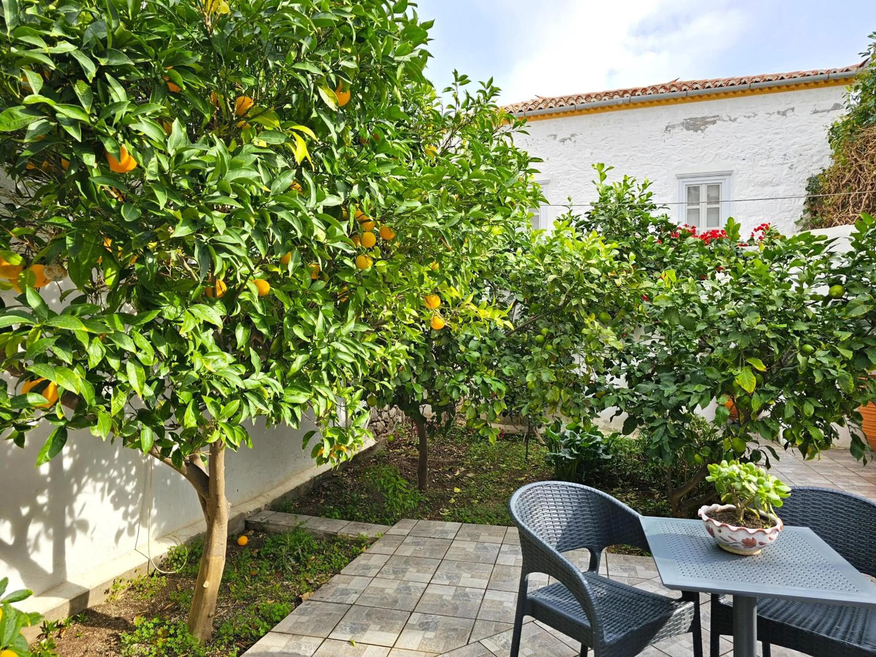 Garden in Kirki Hydra