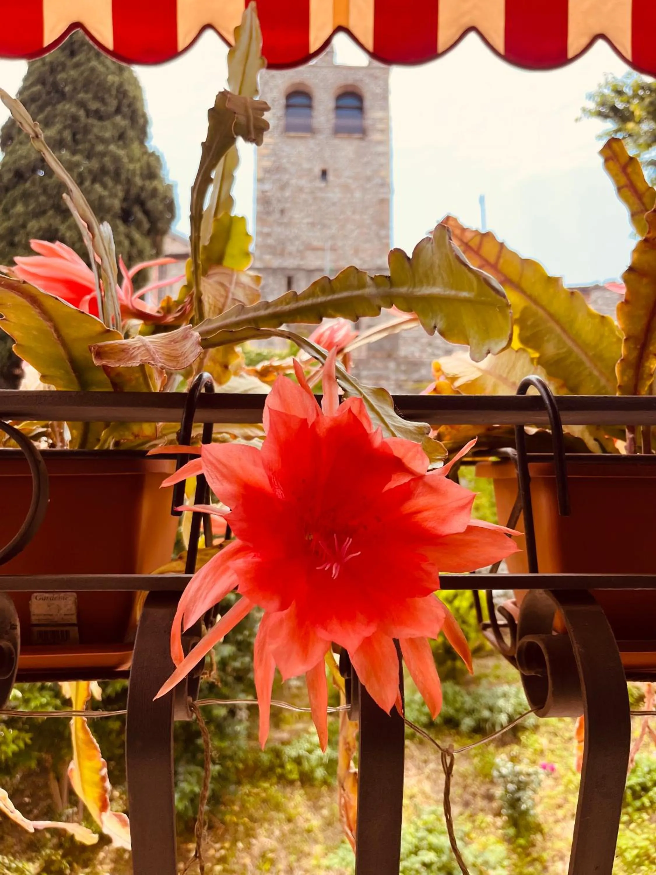 The Tower Of The Old King