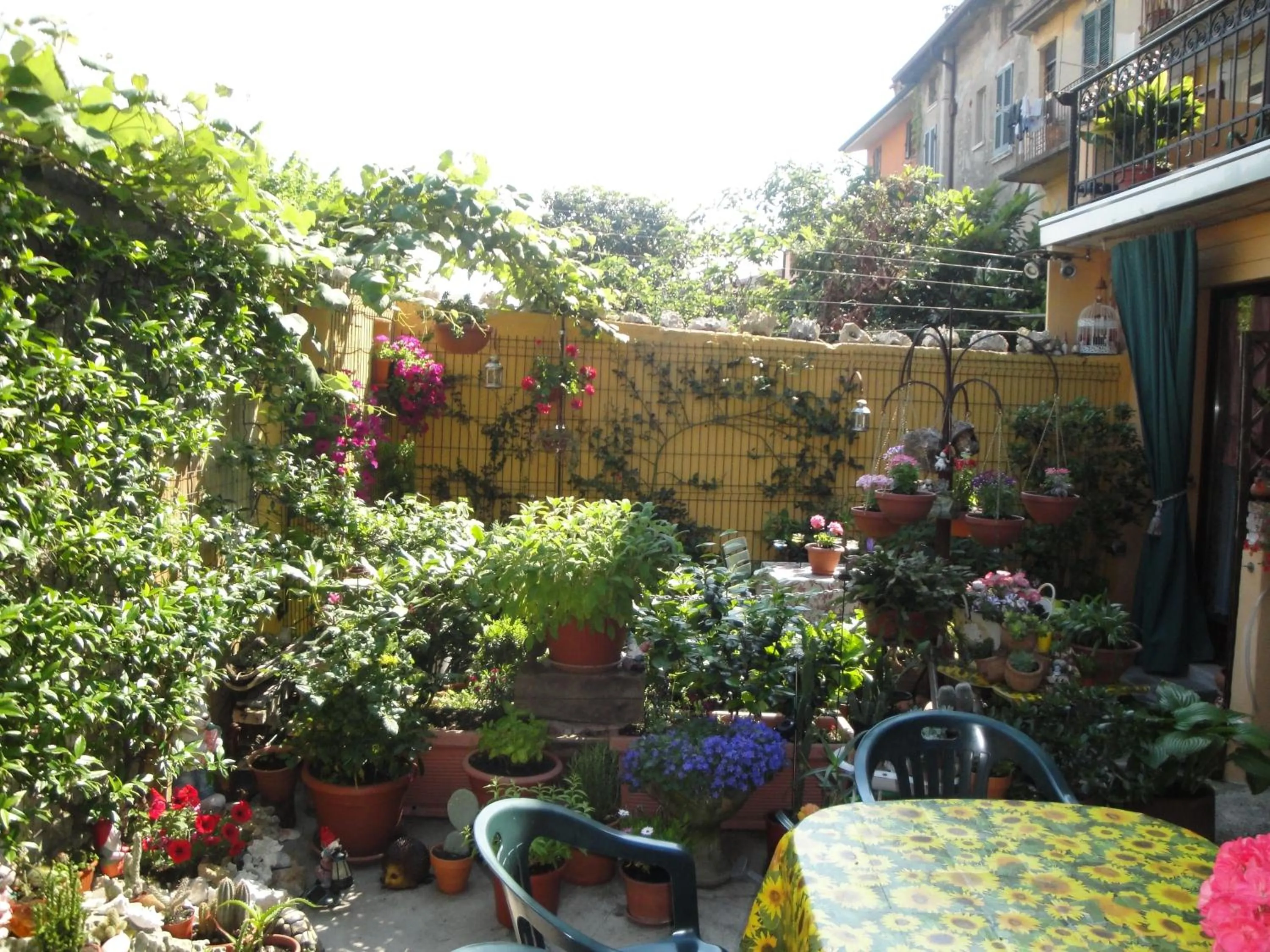 Day in The Tower Of The Old King