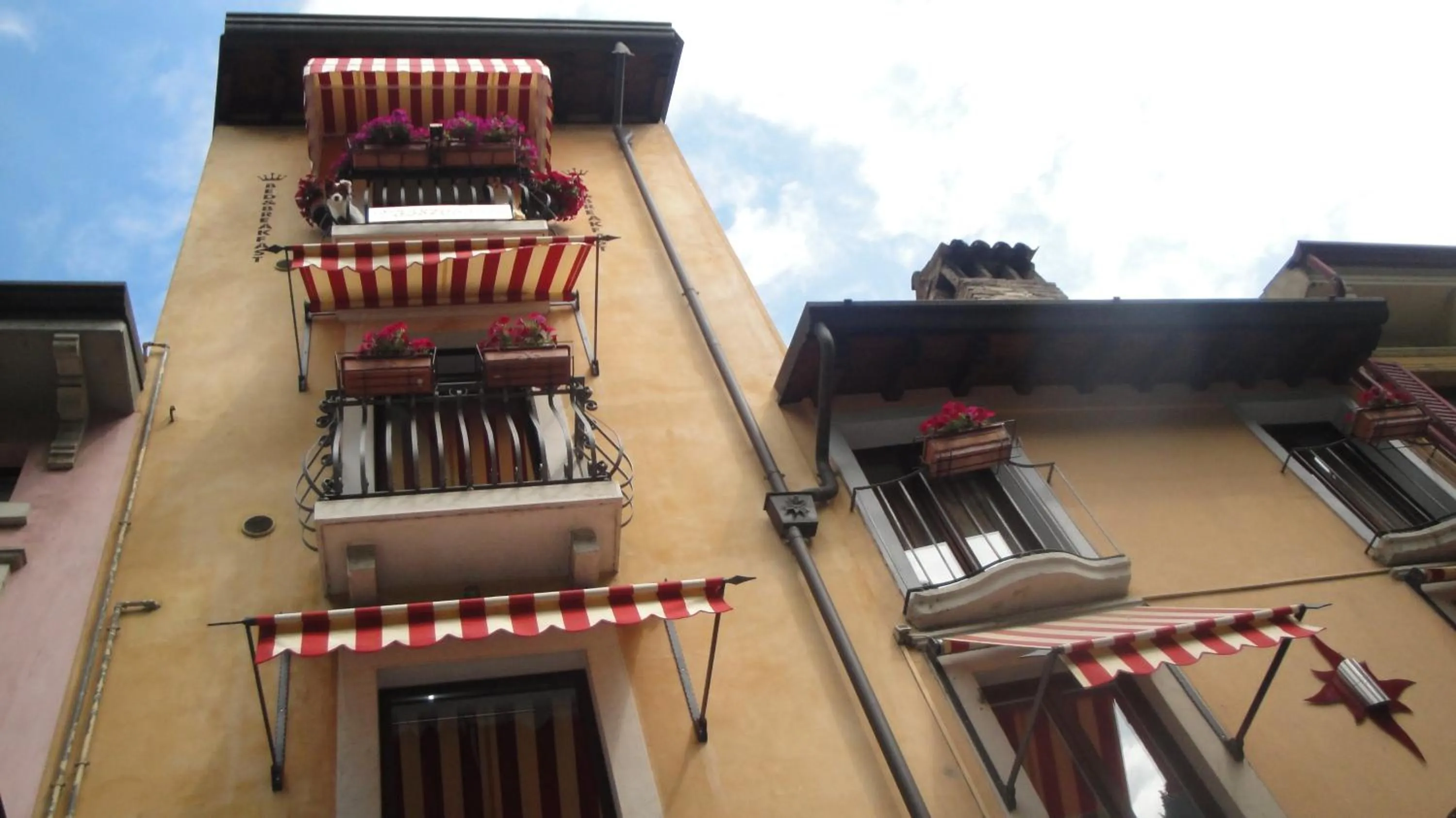 Property building in The Tower Of The Old King