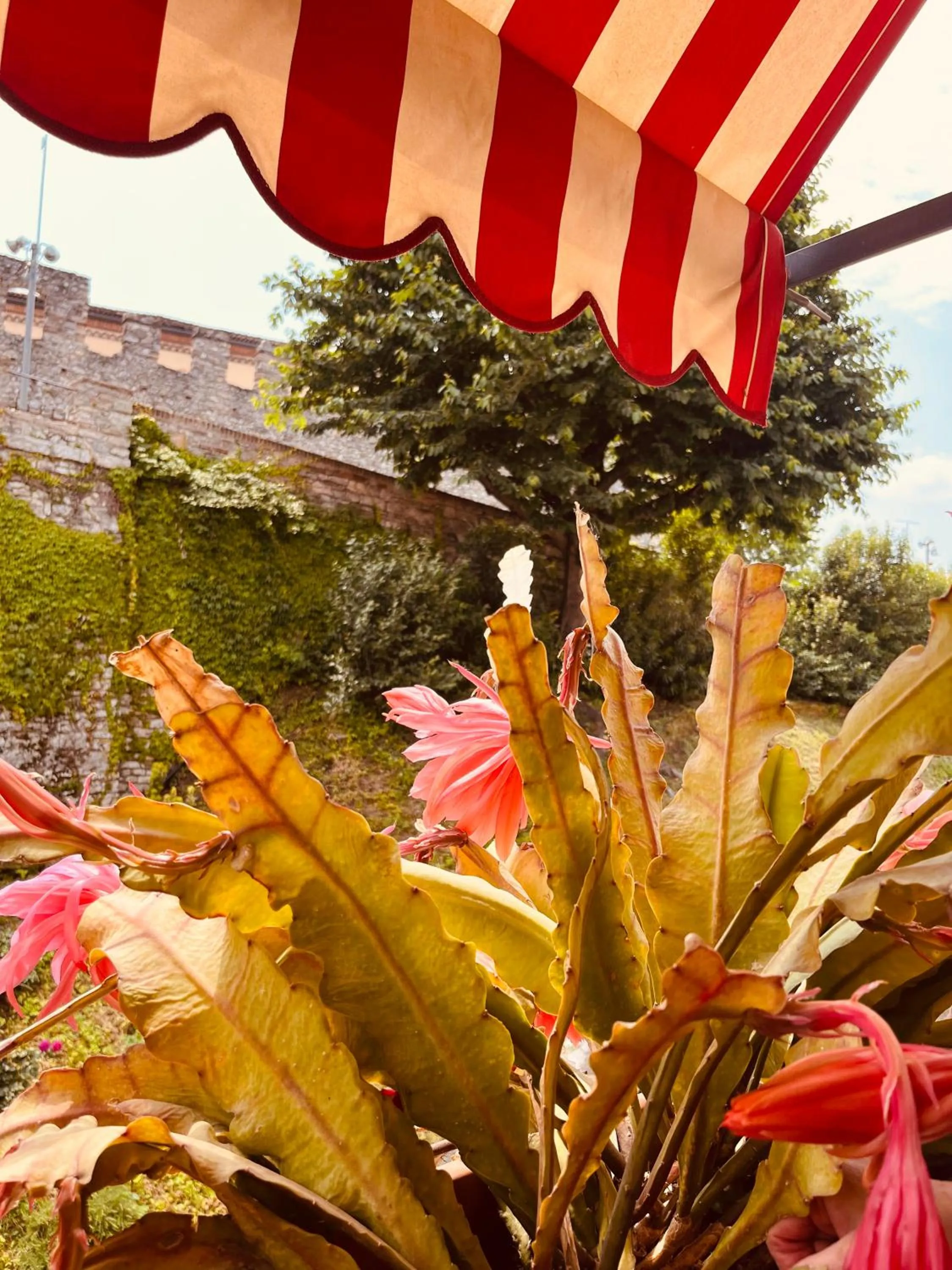 The Tower Of The Old King