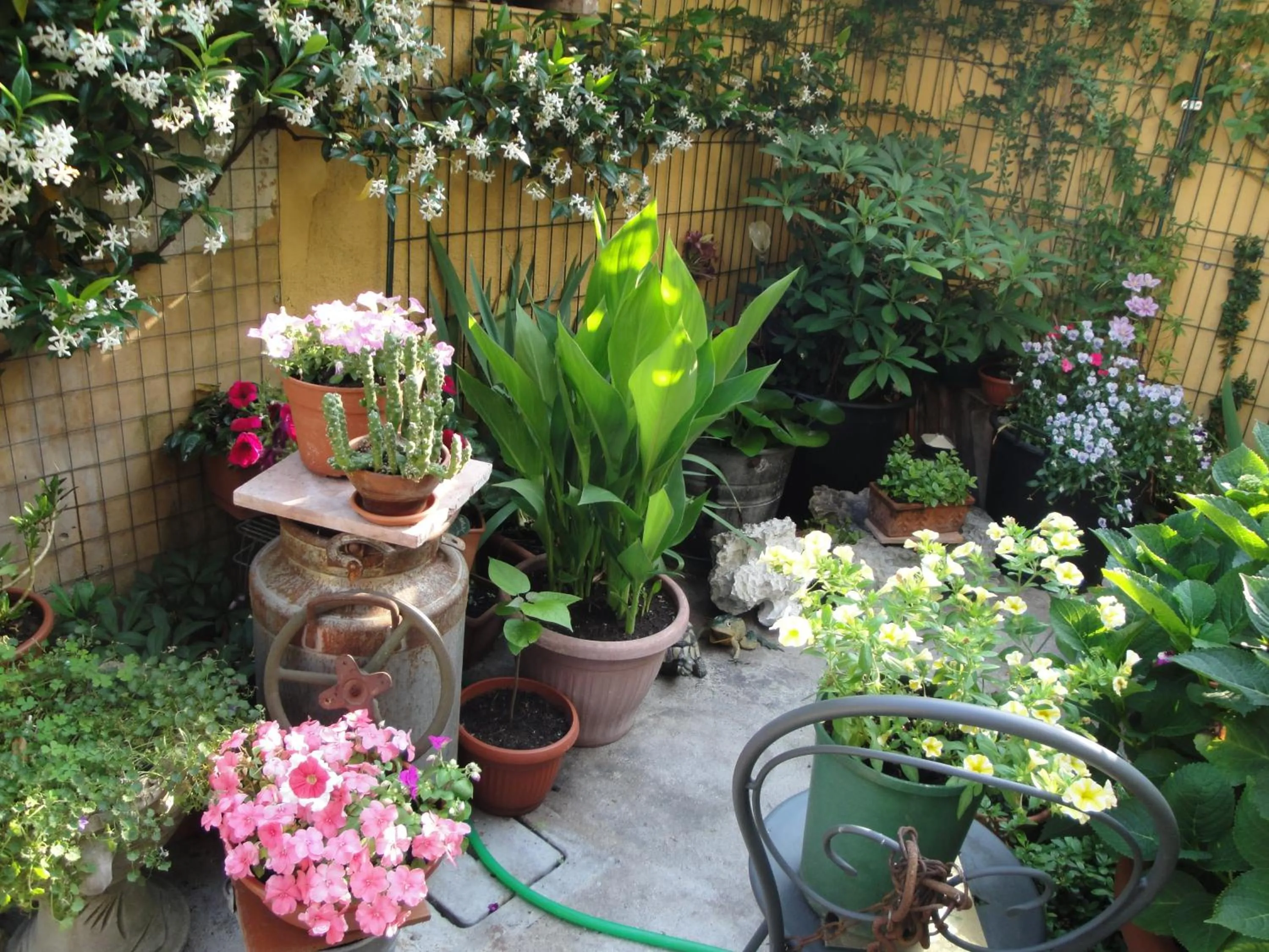 Day in The Tower Of The Old King