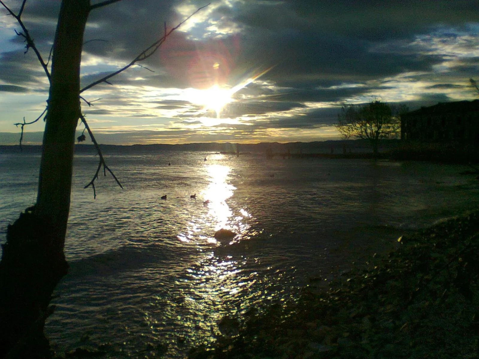 On site in The Tower Of The Old King