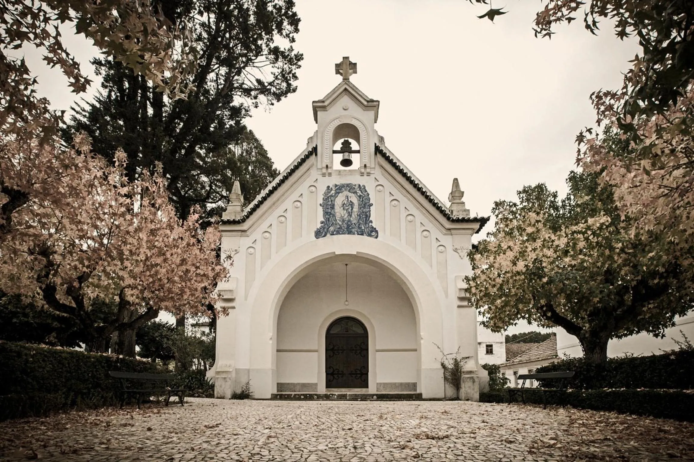 Area and facilities in Curia Palace Hotel & Spa