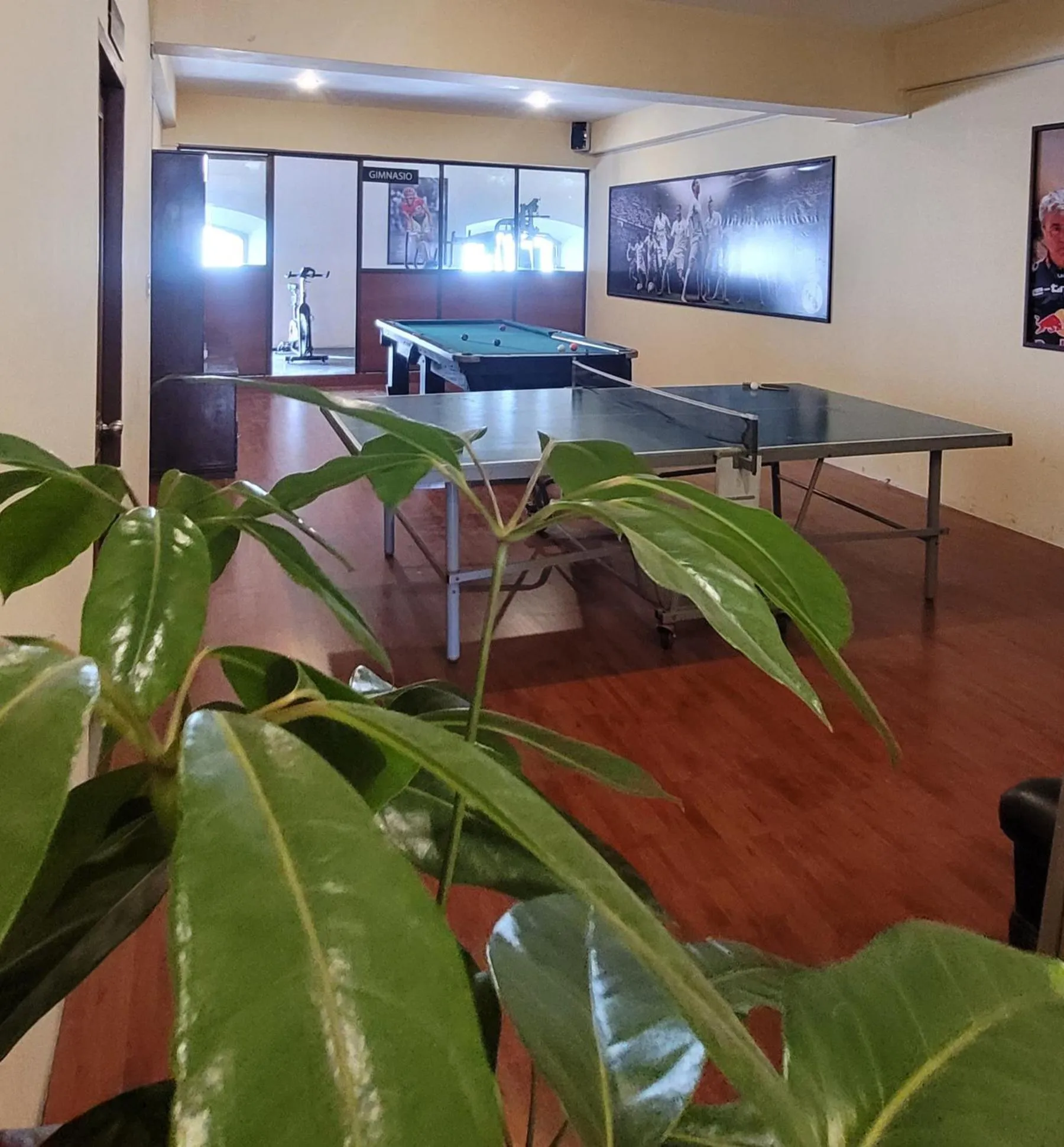 Game Room in Hotel Madrid