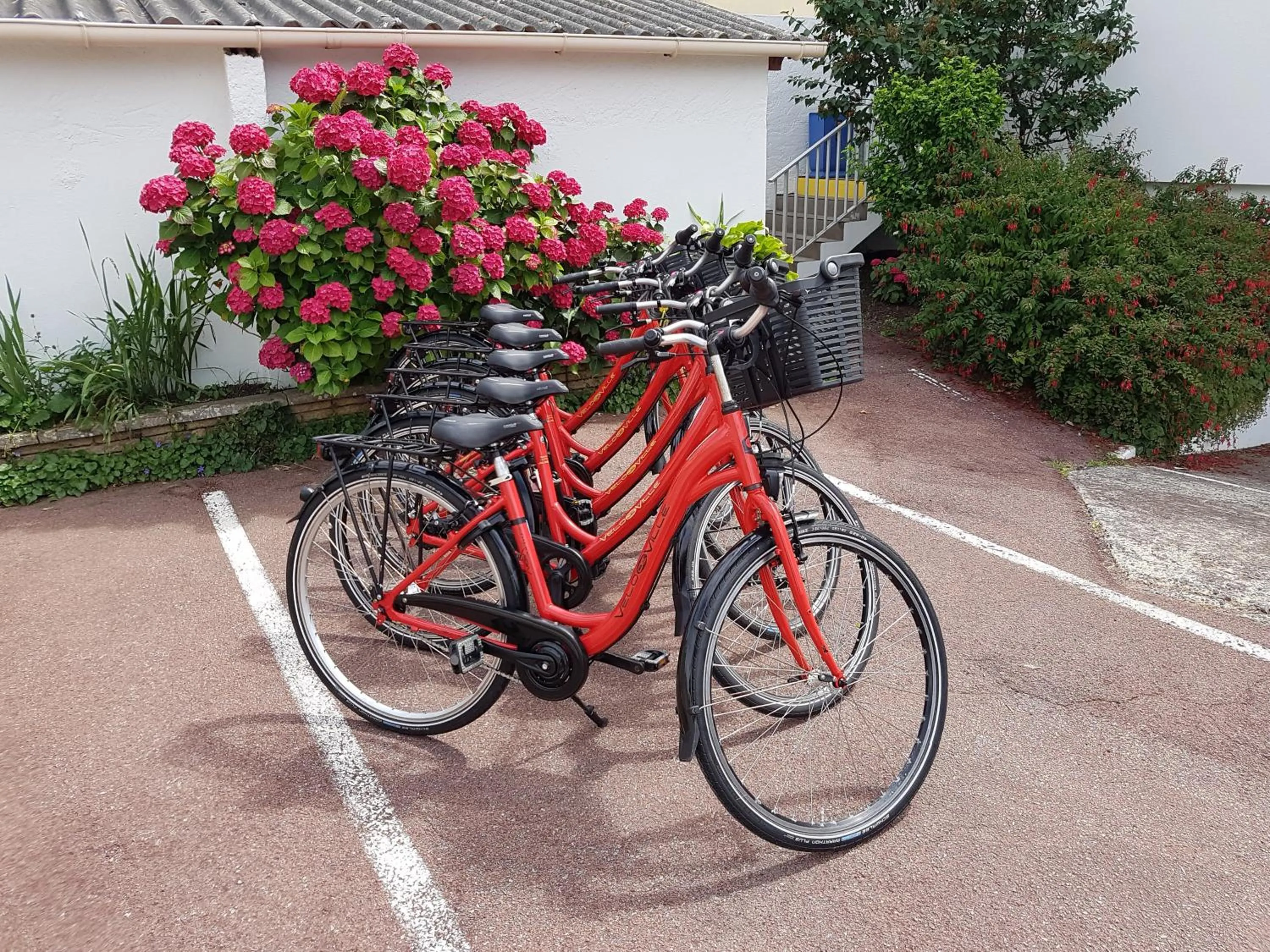 Day in Les Chants d'Ailes - Hôtel Face Mer