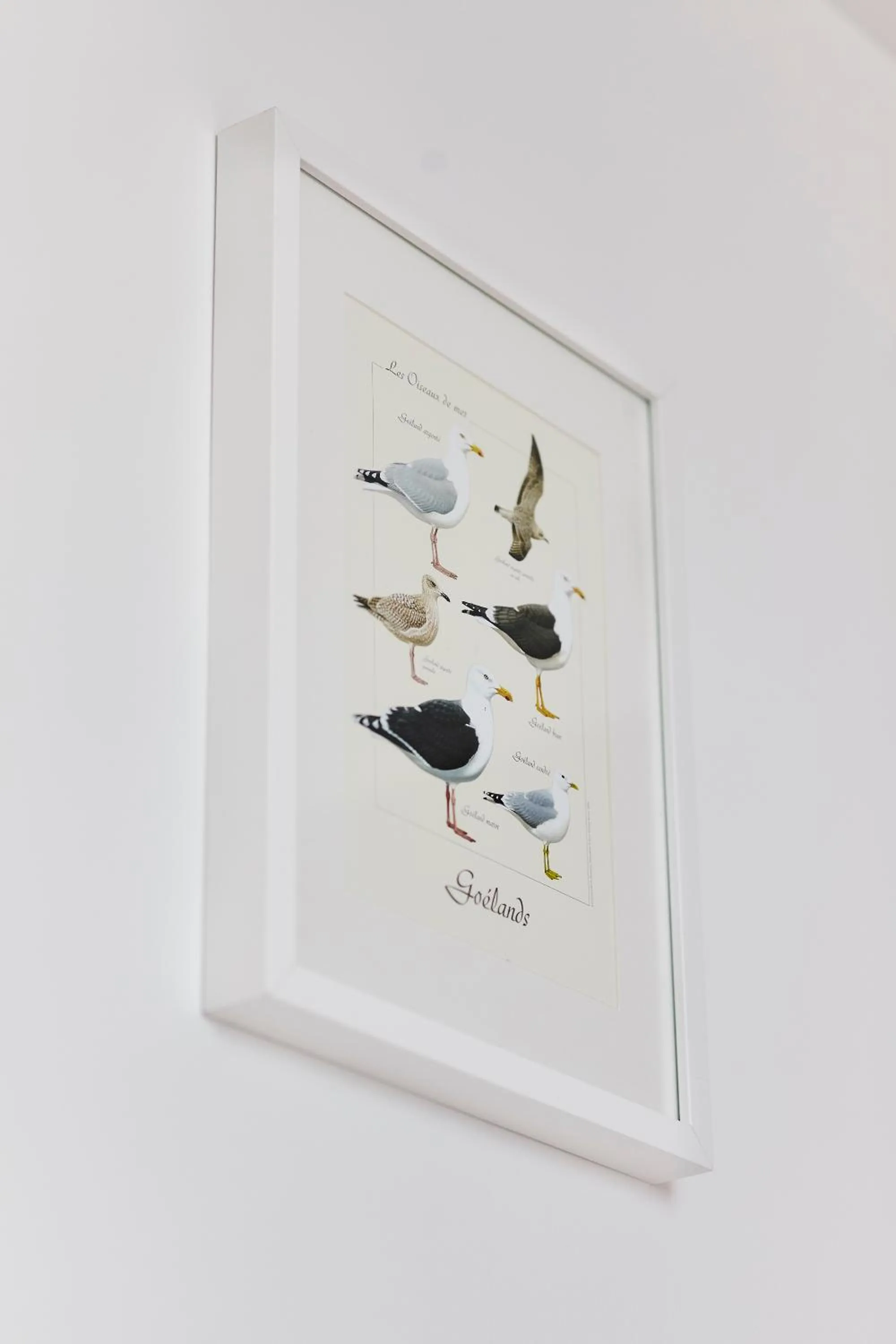 Decorative detail in Les Chants d'Ailes - Hôtel Face Mer