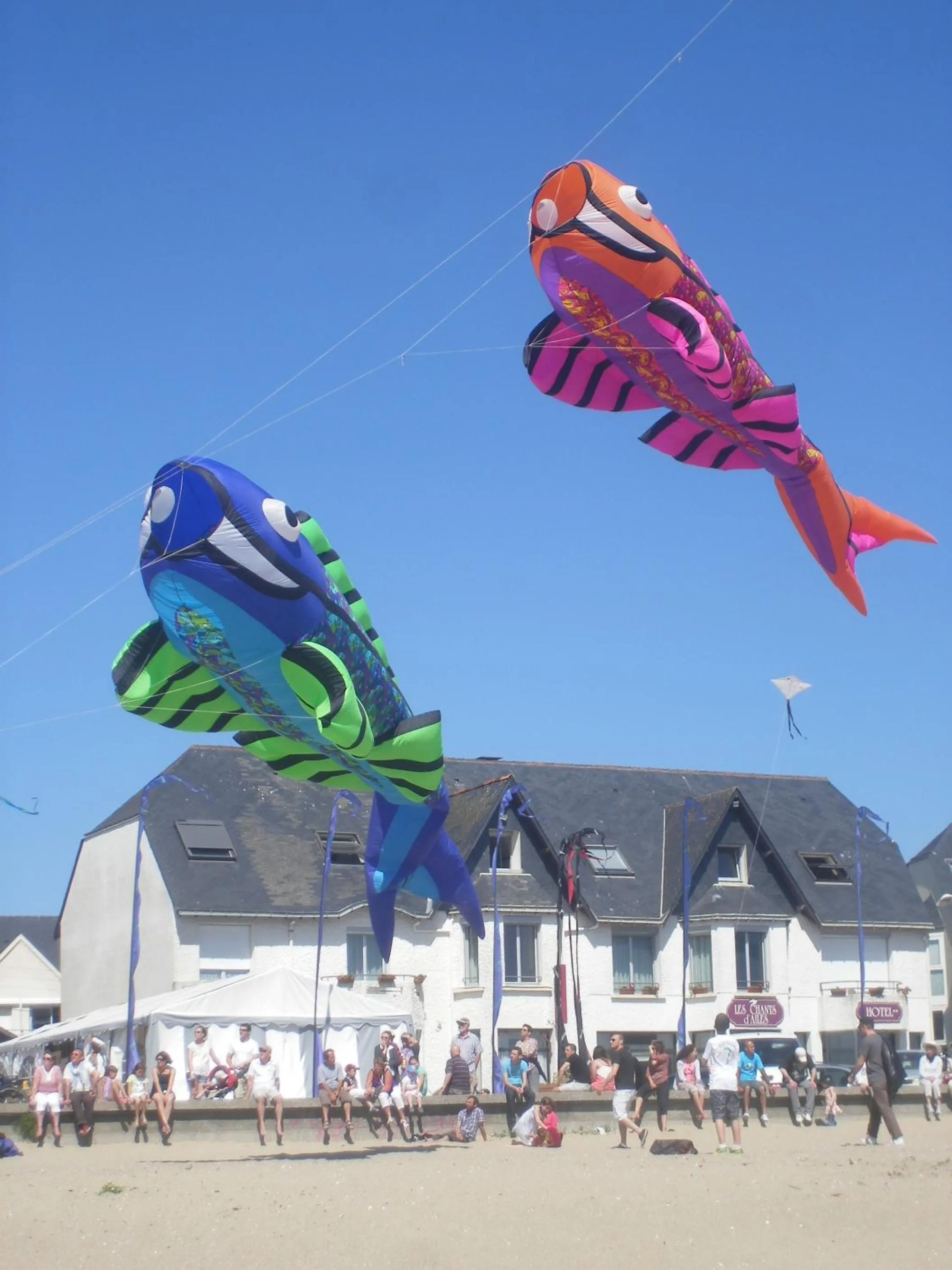 Beach in Les Chants d'Ailes - Hôtel Face Mer