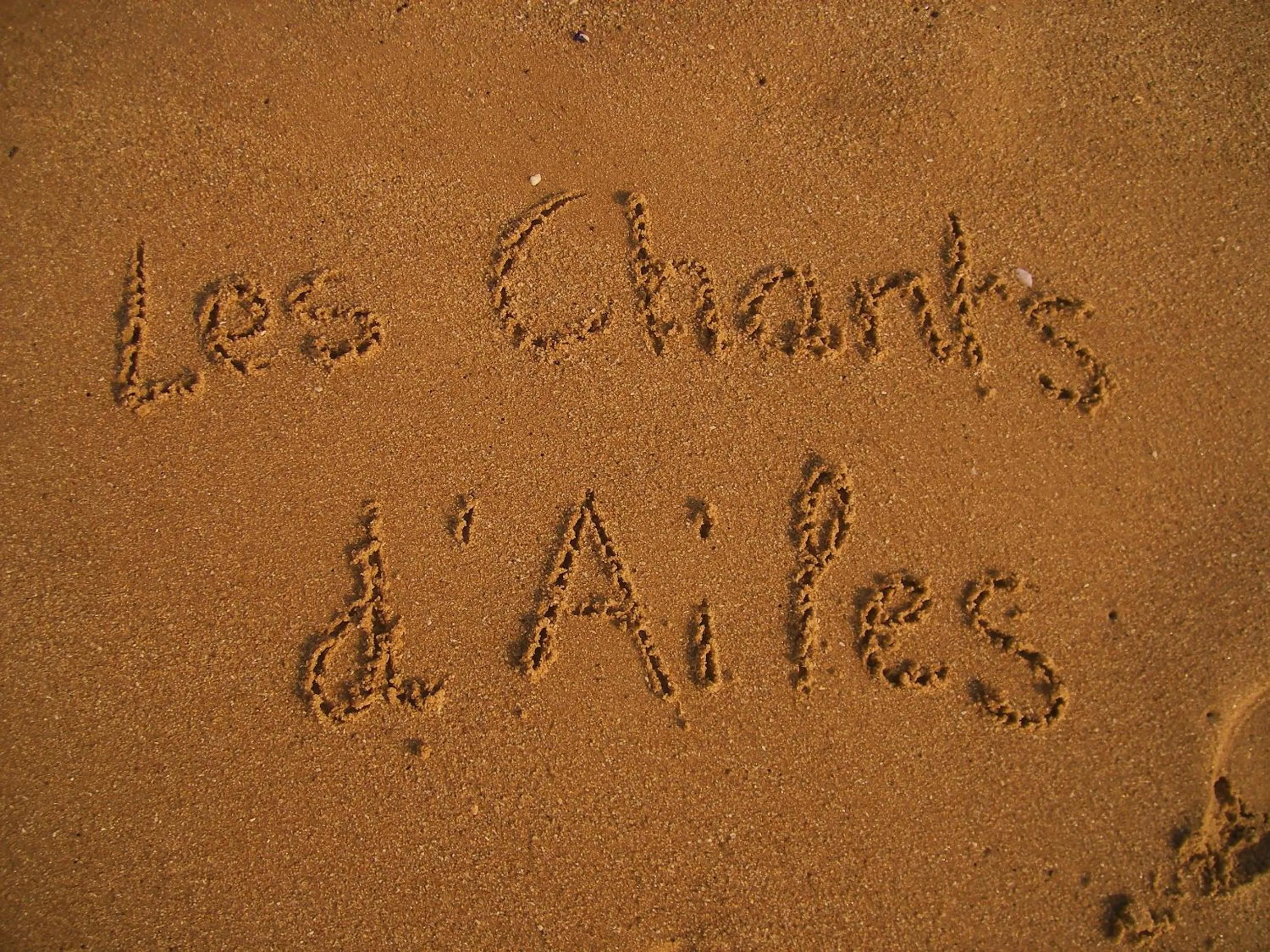 Property logo or sign in Les Chants d'Ailes - Hôtel Face Mer