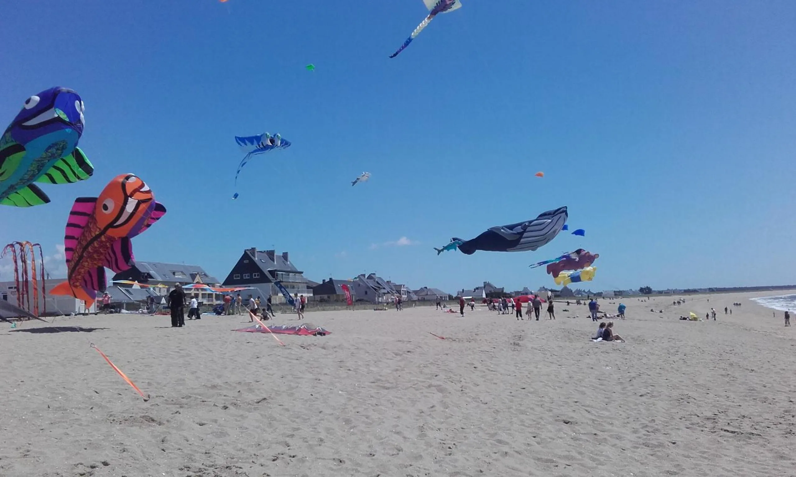 Beach in Les Chants d'Ailes - Hôtel Face Mer