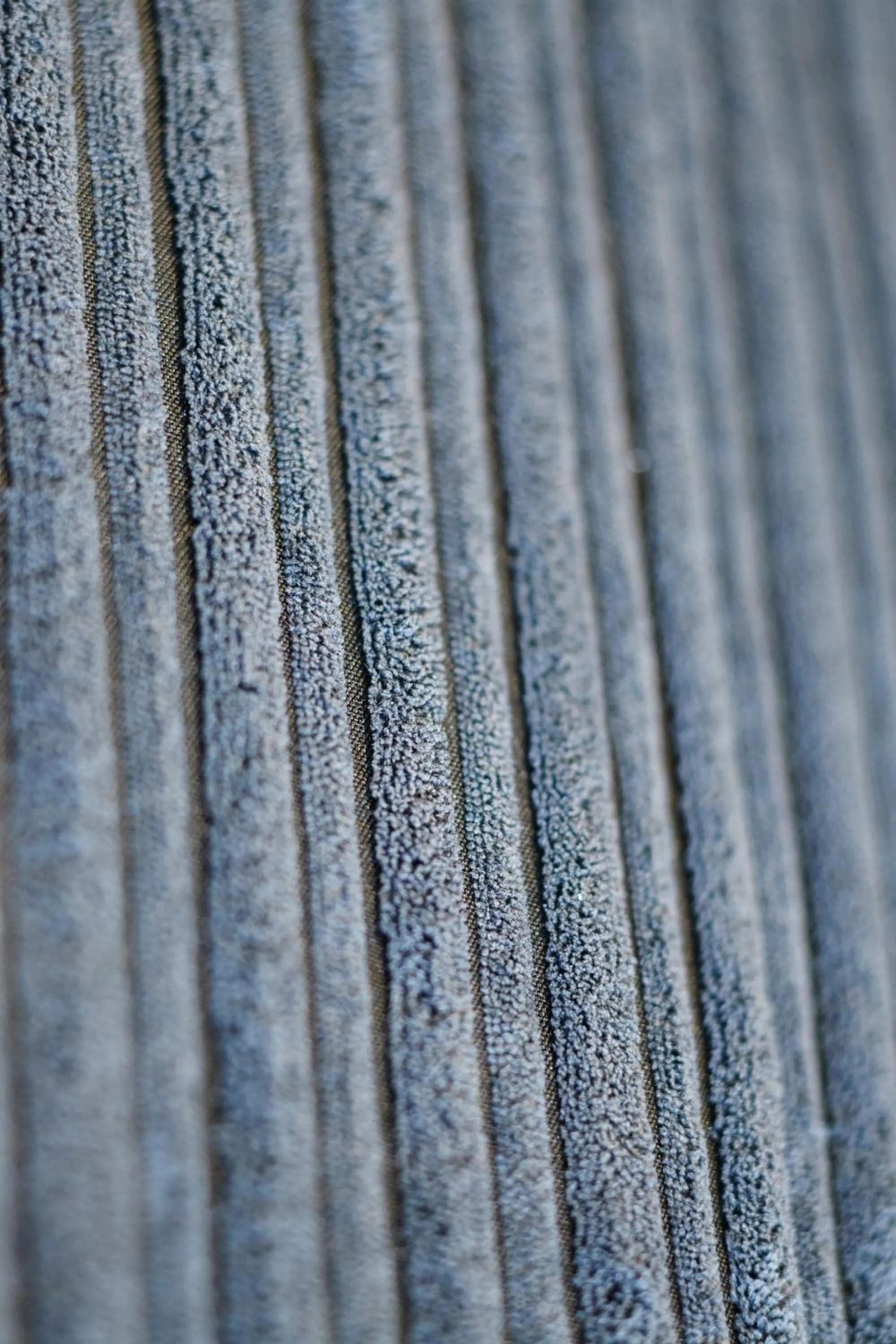 Decorative detail in Les Chants d'Ailes - Hôtel Face Mer