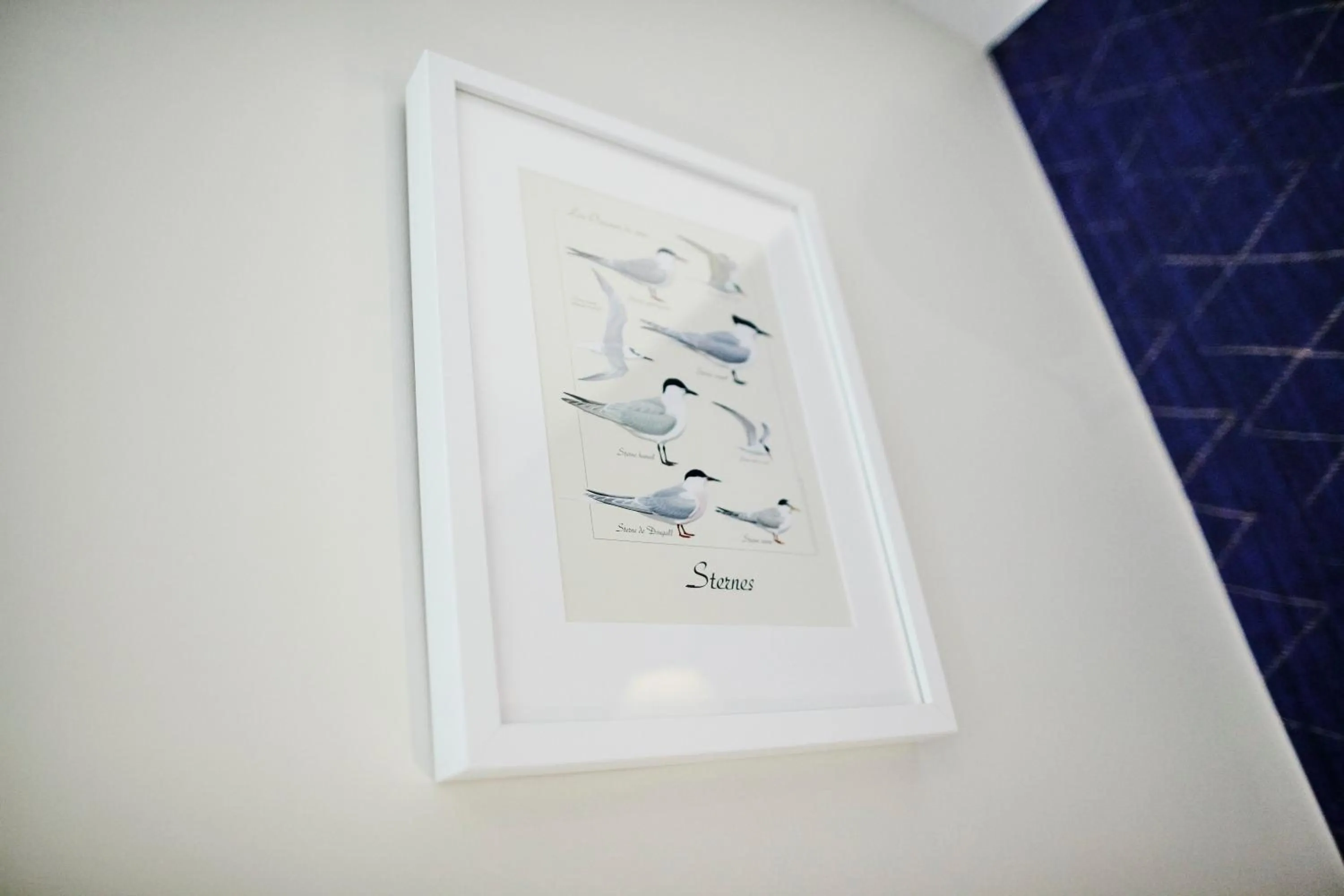 Decorative detail in Les Chants d'Ailes - Hôtel Face Mer