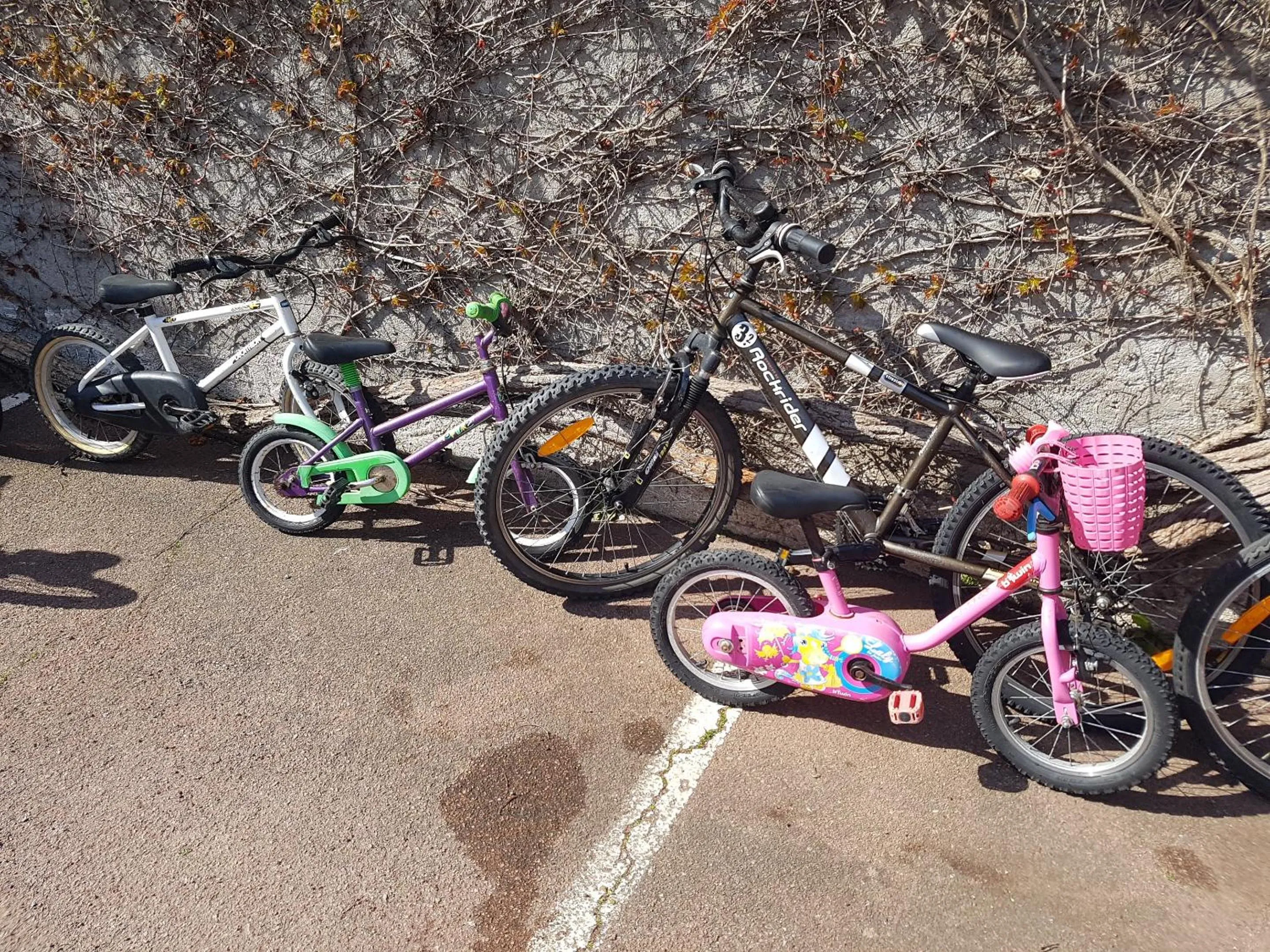 Cycling in Les Chants d'Ailes - Hôtel Face Mer