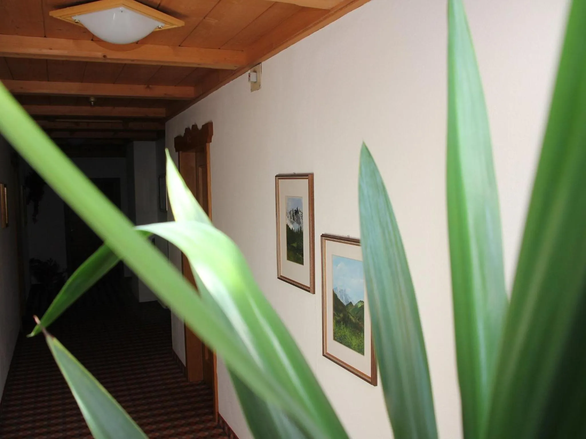 Decorative detail in Residence Rottonara