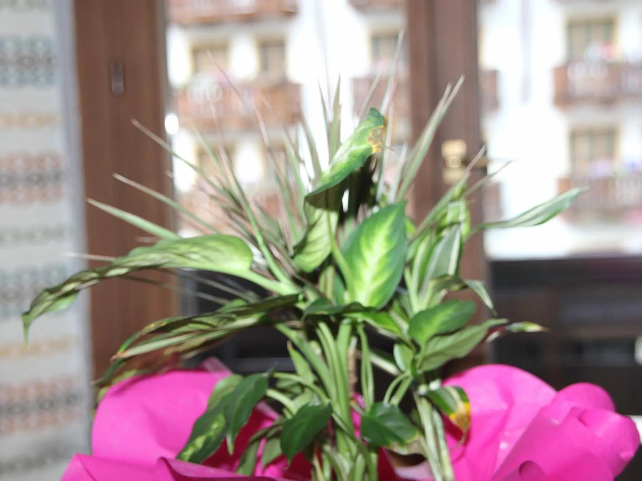 Decorative detail in Residence Rottonara