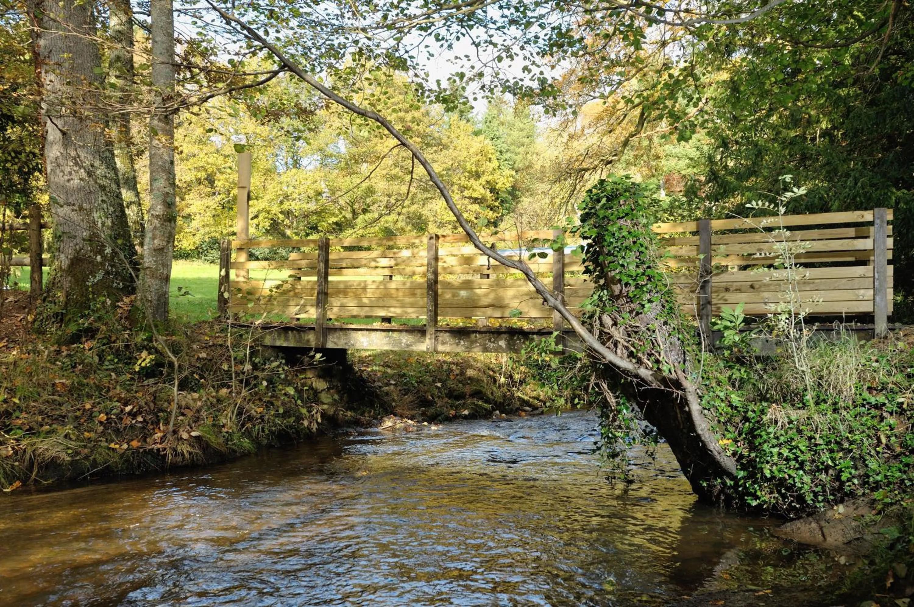 Area and facilities in Hôtel du Parc Nantes Ouest Orvault