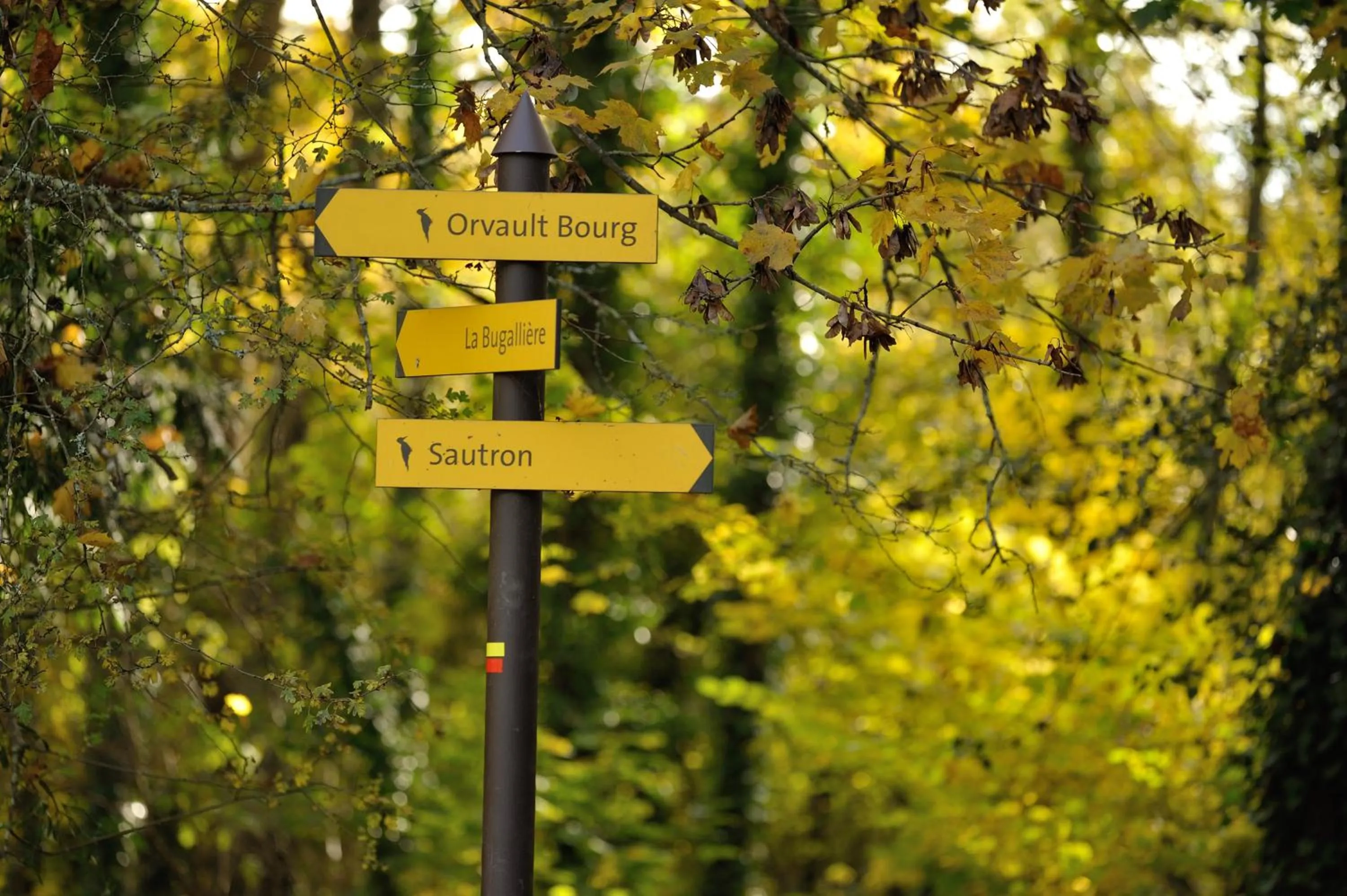 Area and facilities in Hôtel du Parc Nantes Ouest Orvault