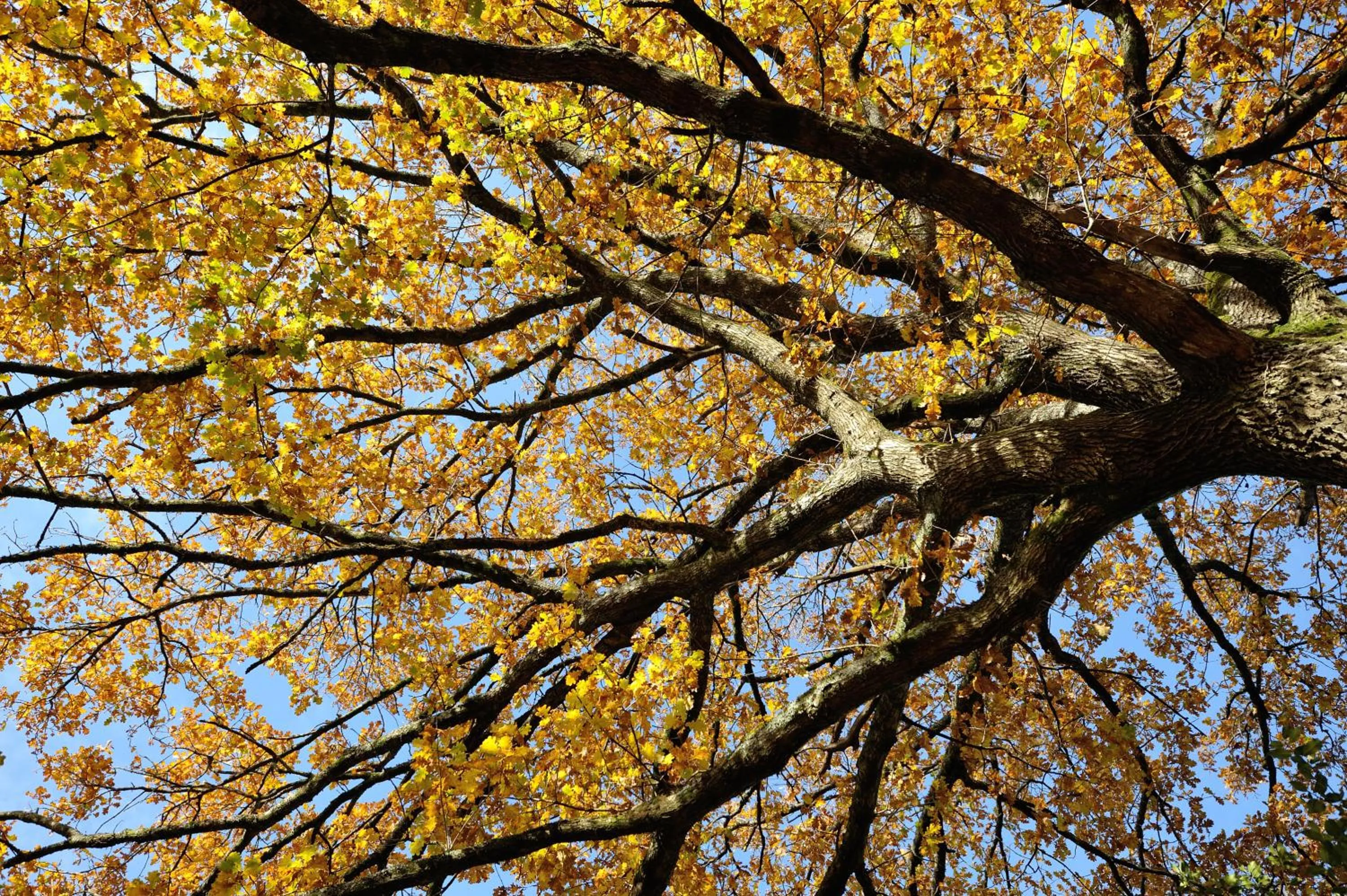 Facade/entrance in Hôtel du Parc Nantes Ouest Orvault