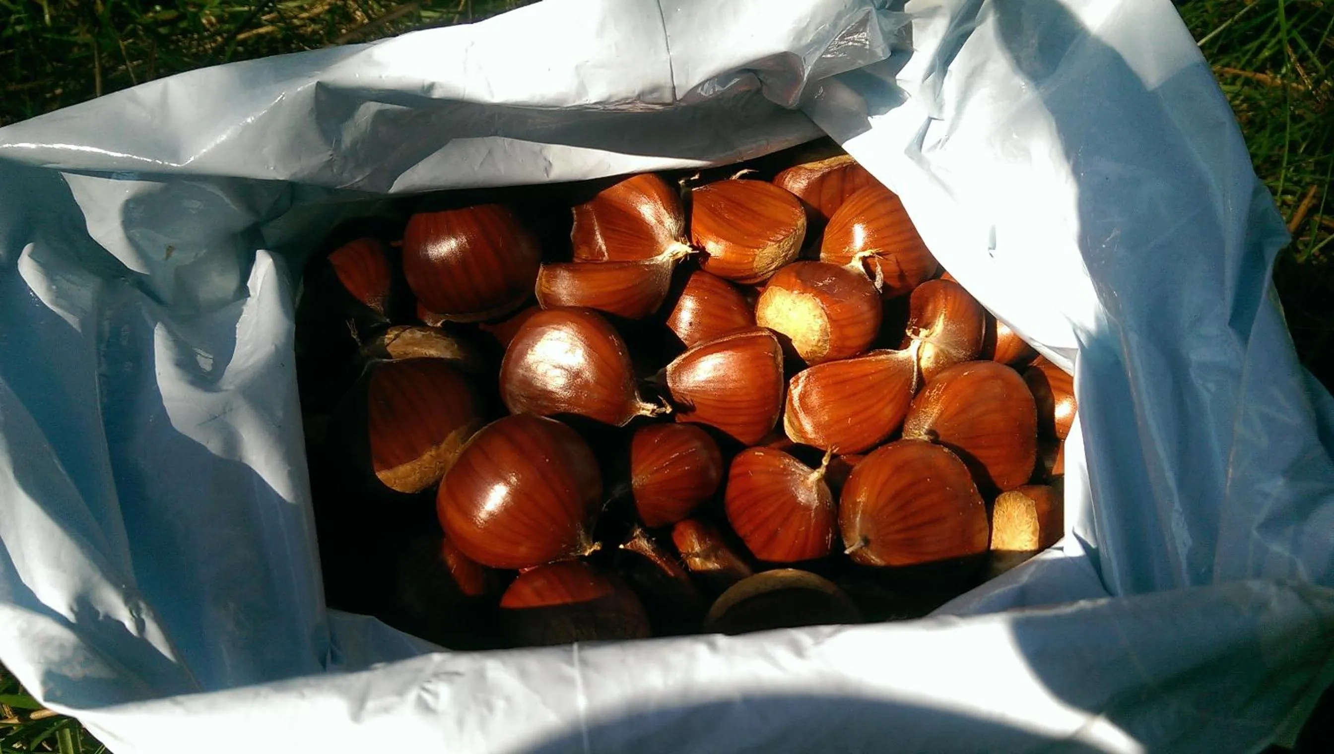 Chambres d'Hôtes A Buglose