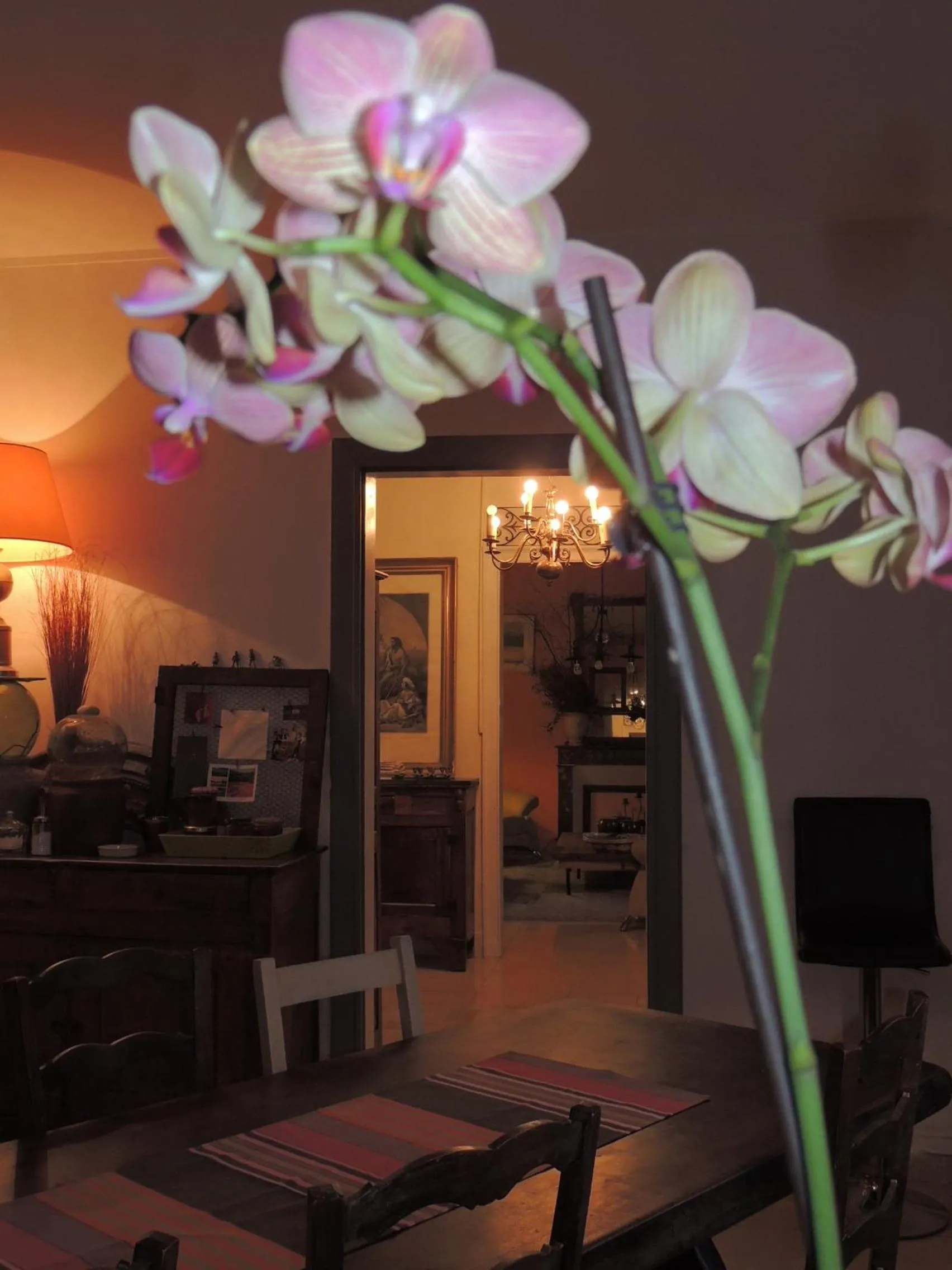 Chambres d'Hôtes A Buglose