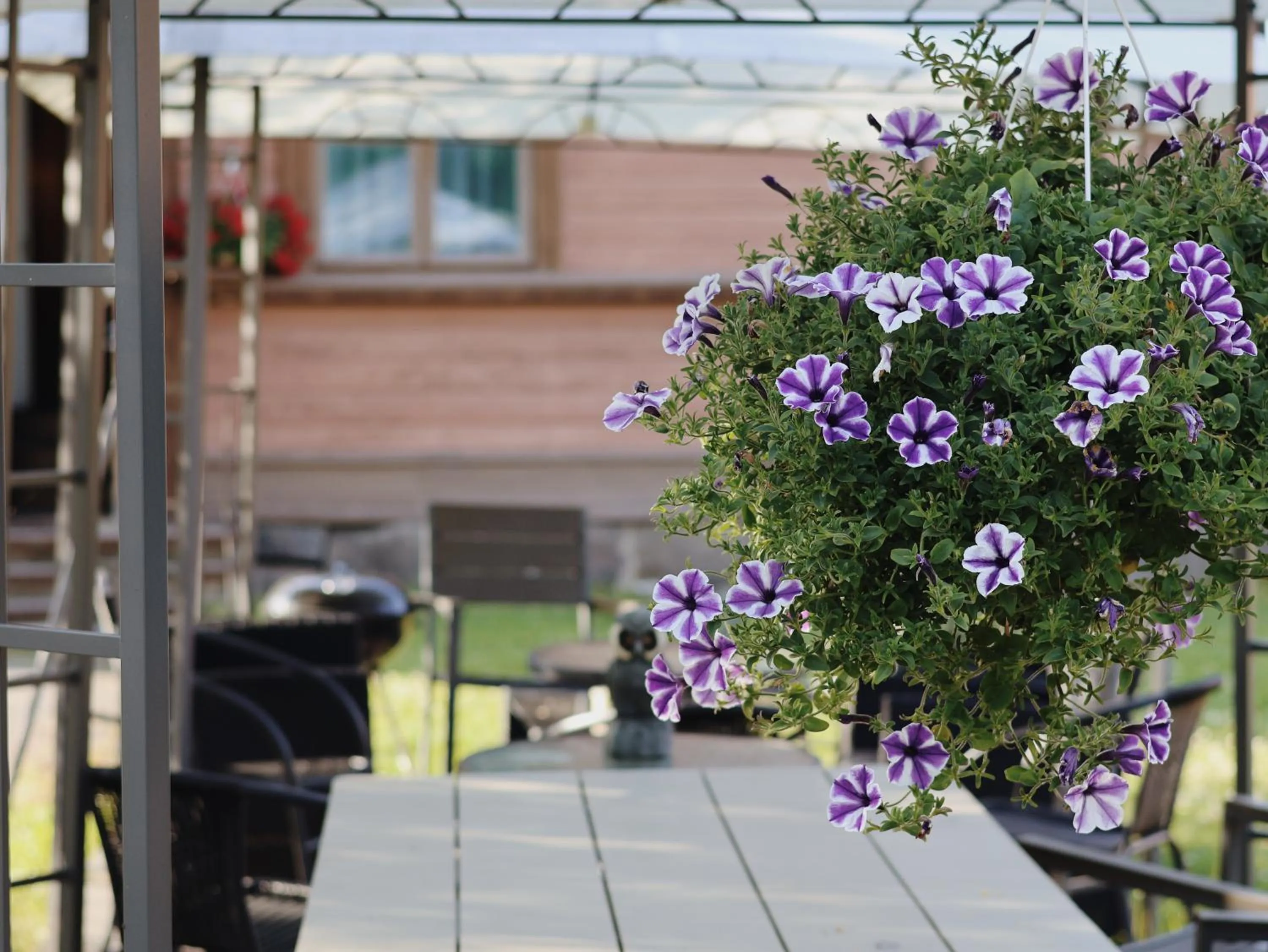 Patio in Huoneistohotelli Marja