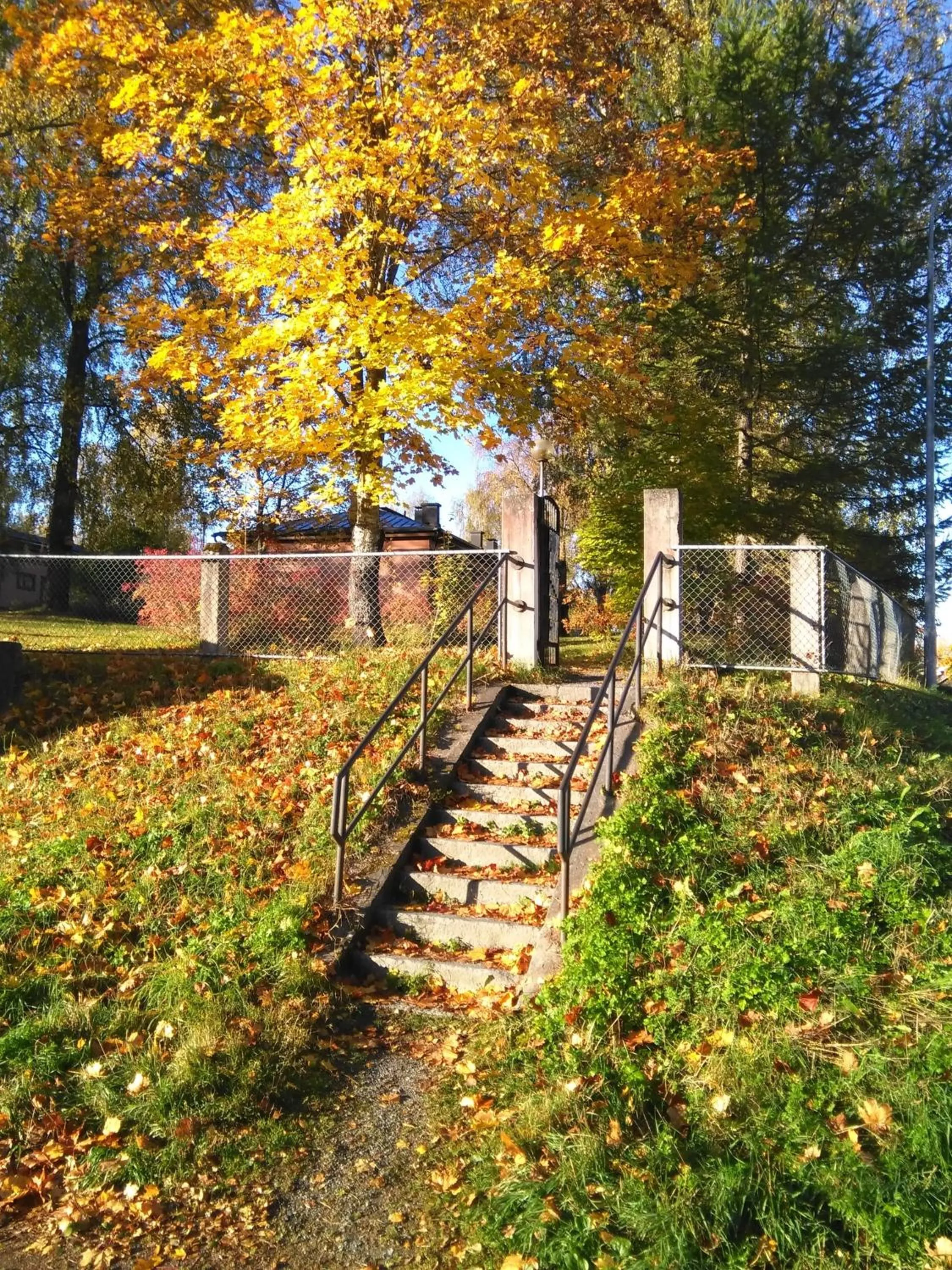 Day in Huoneistohotelli Marja