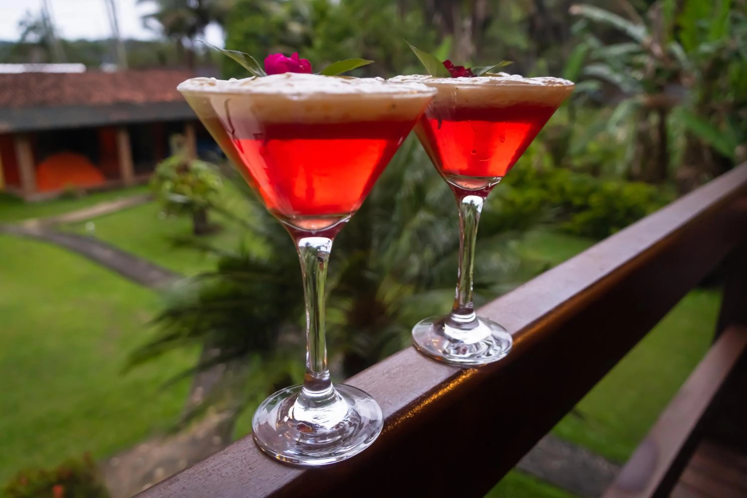 Drinks in Pousada Gata Russa