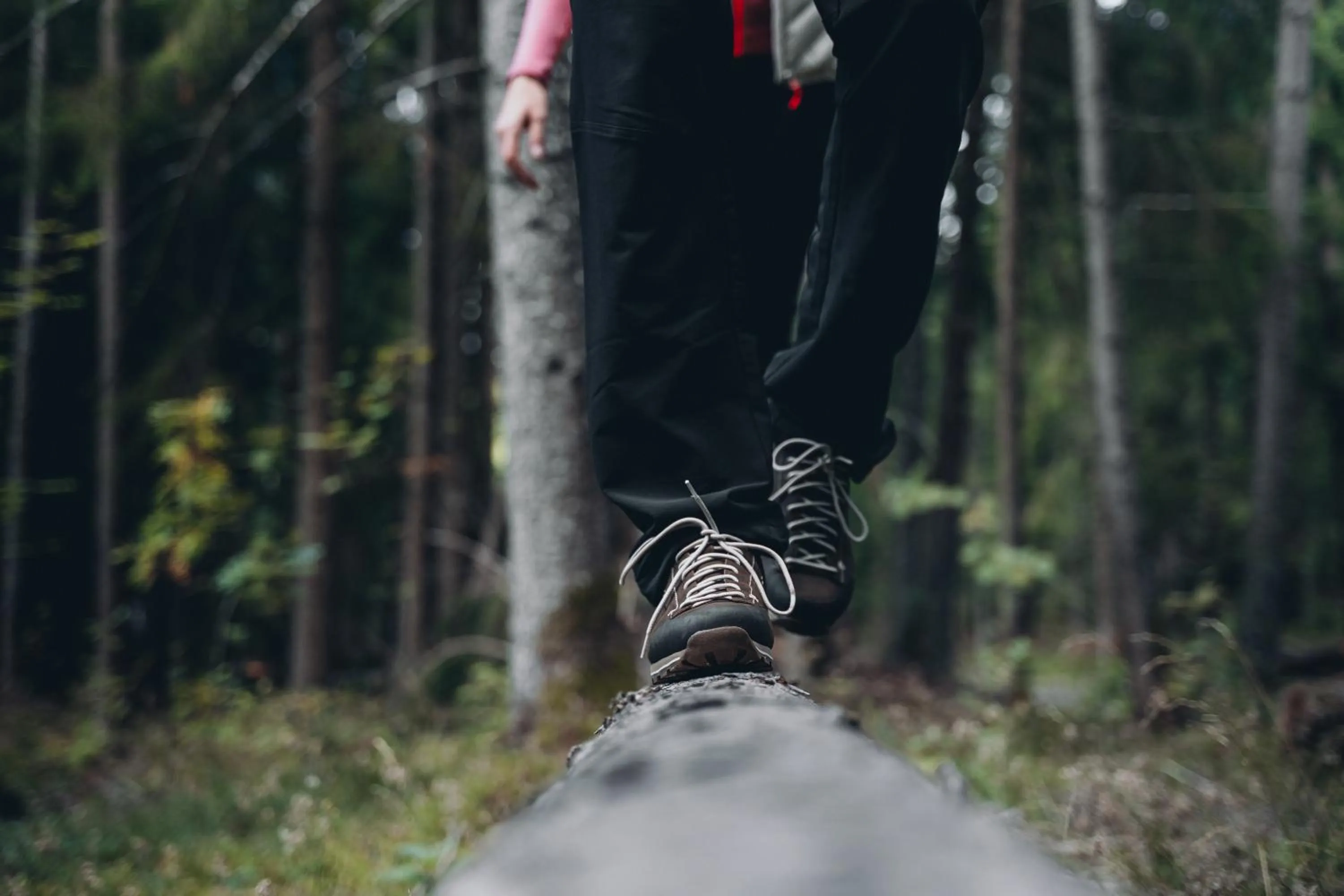 Activities in Sensoria Dolomites