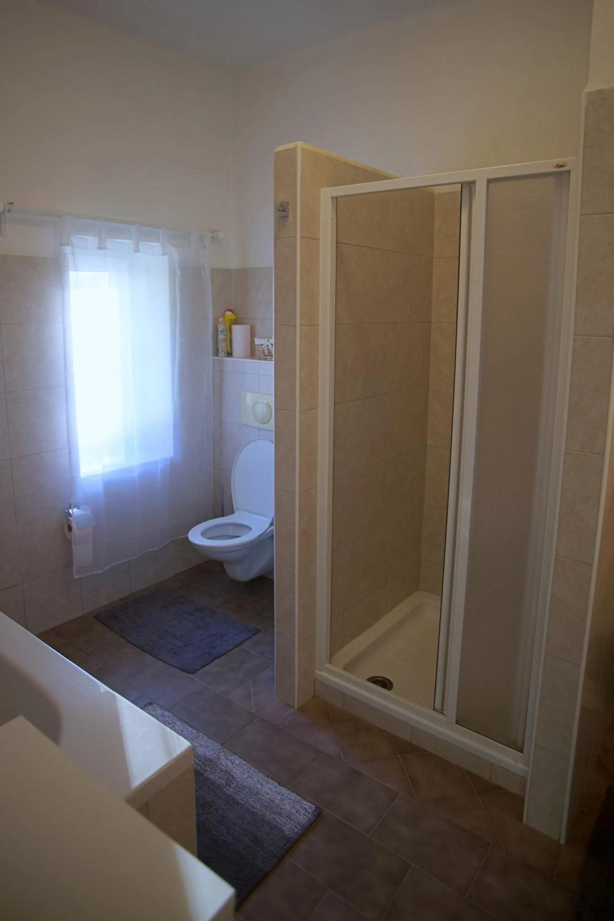 Shower in Apartmány Ve Mlejně