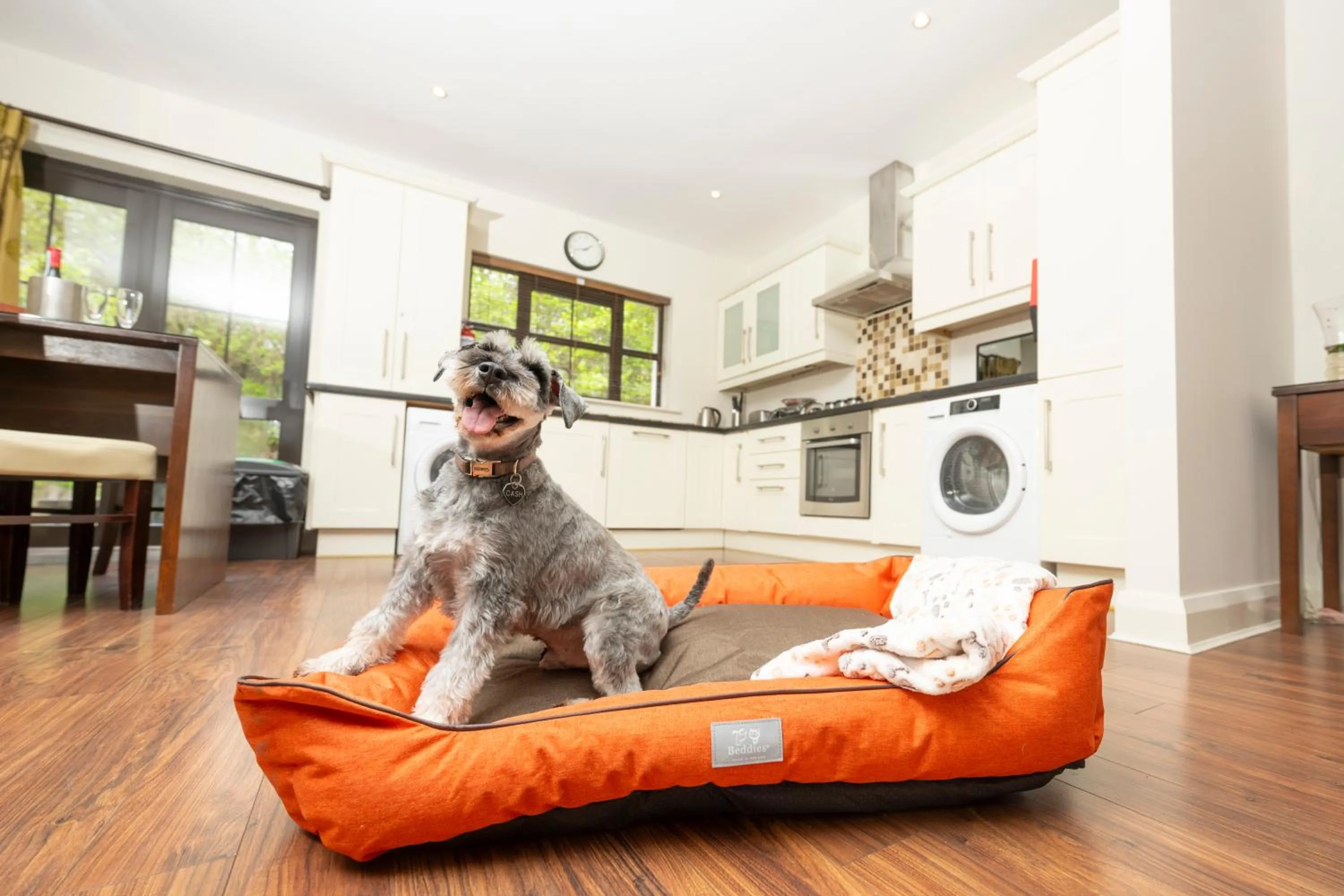 kitchen in Kenmare Bay Hotel Lodges