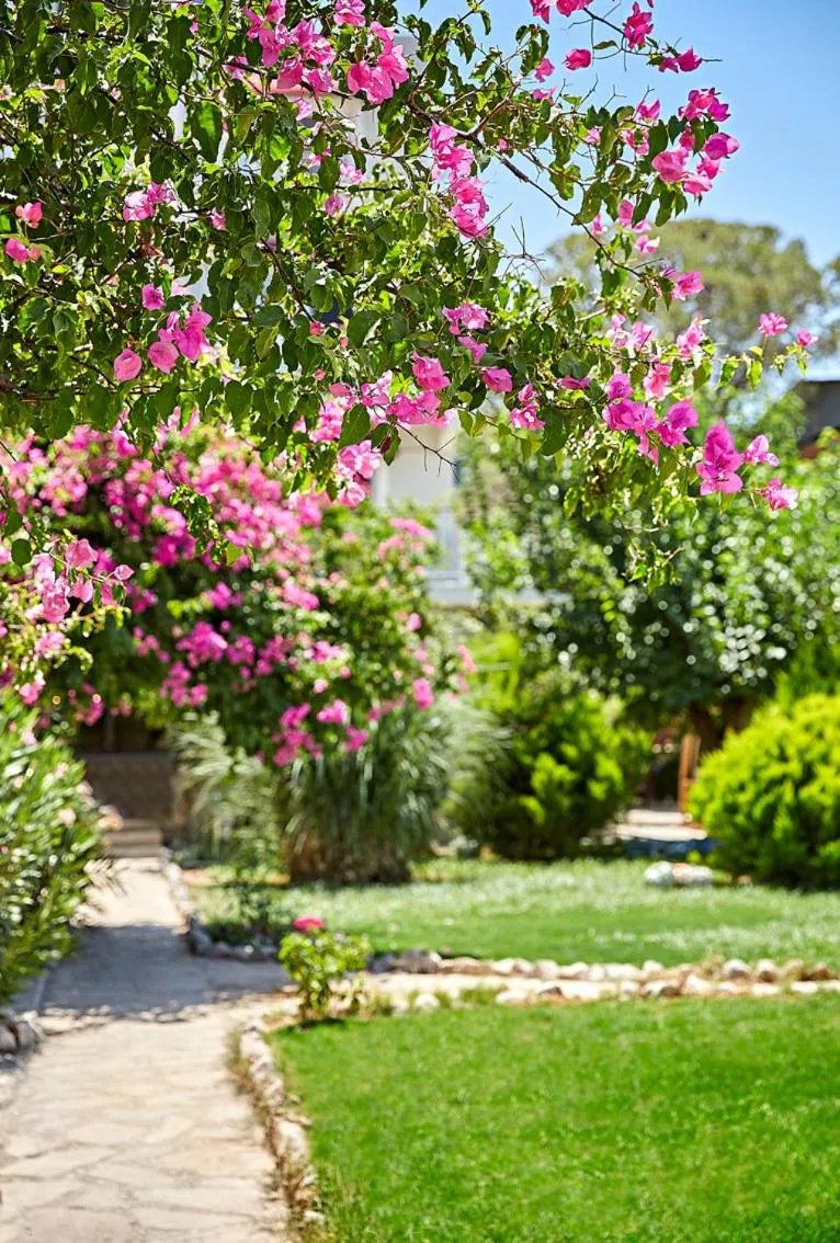 Fİ Light Solto Boutique Beach Hotel