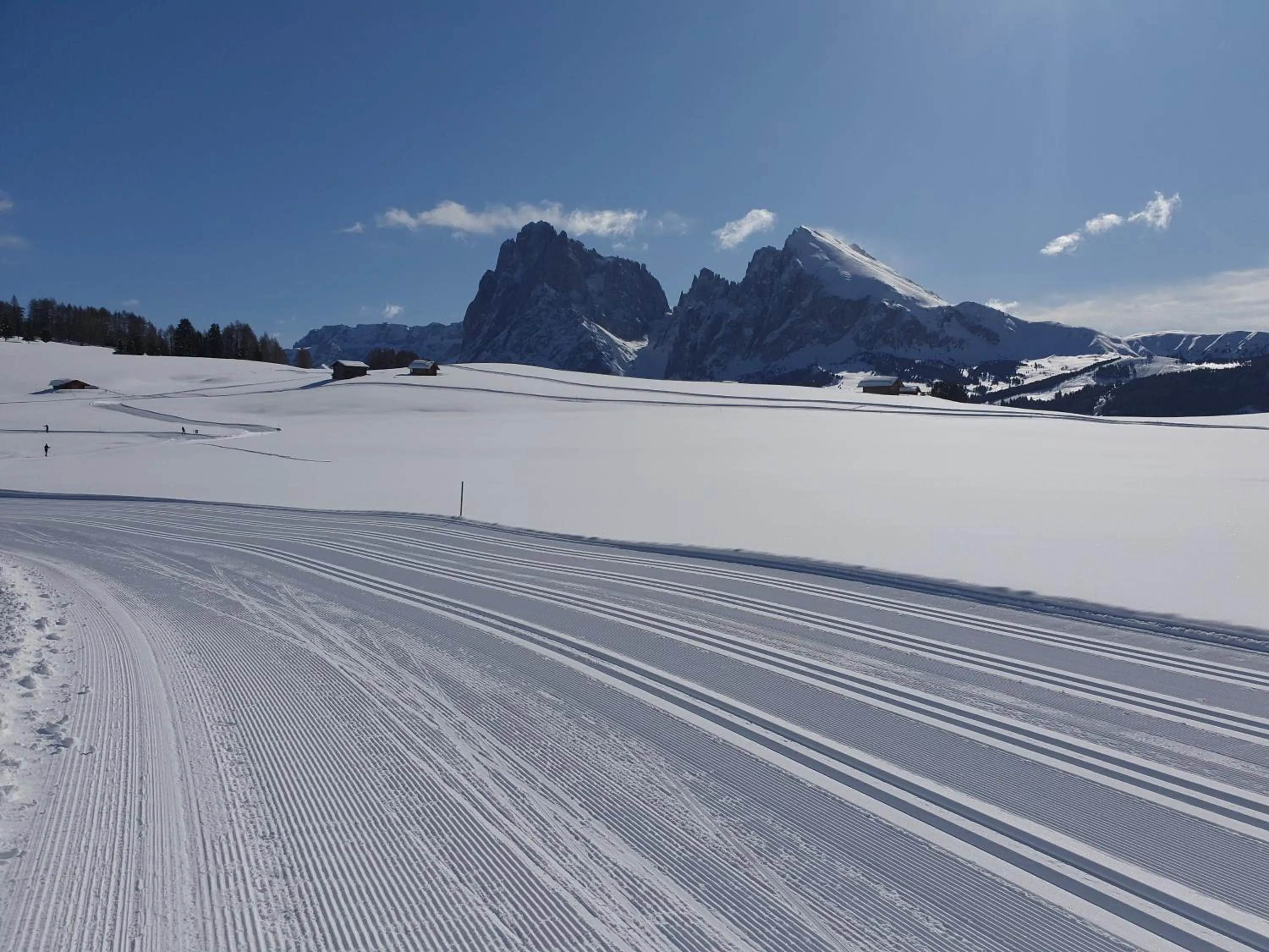 Natural landscape in Hotel Alpenroyal