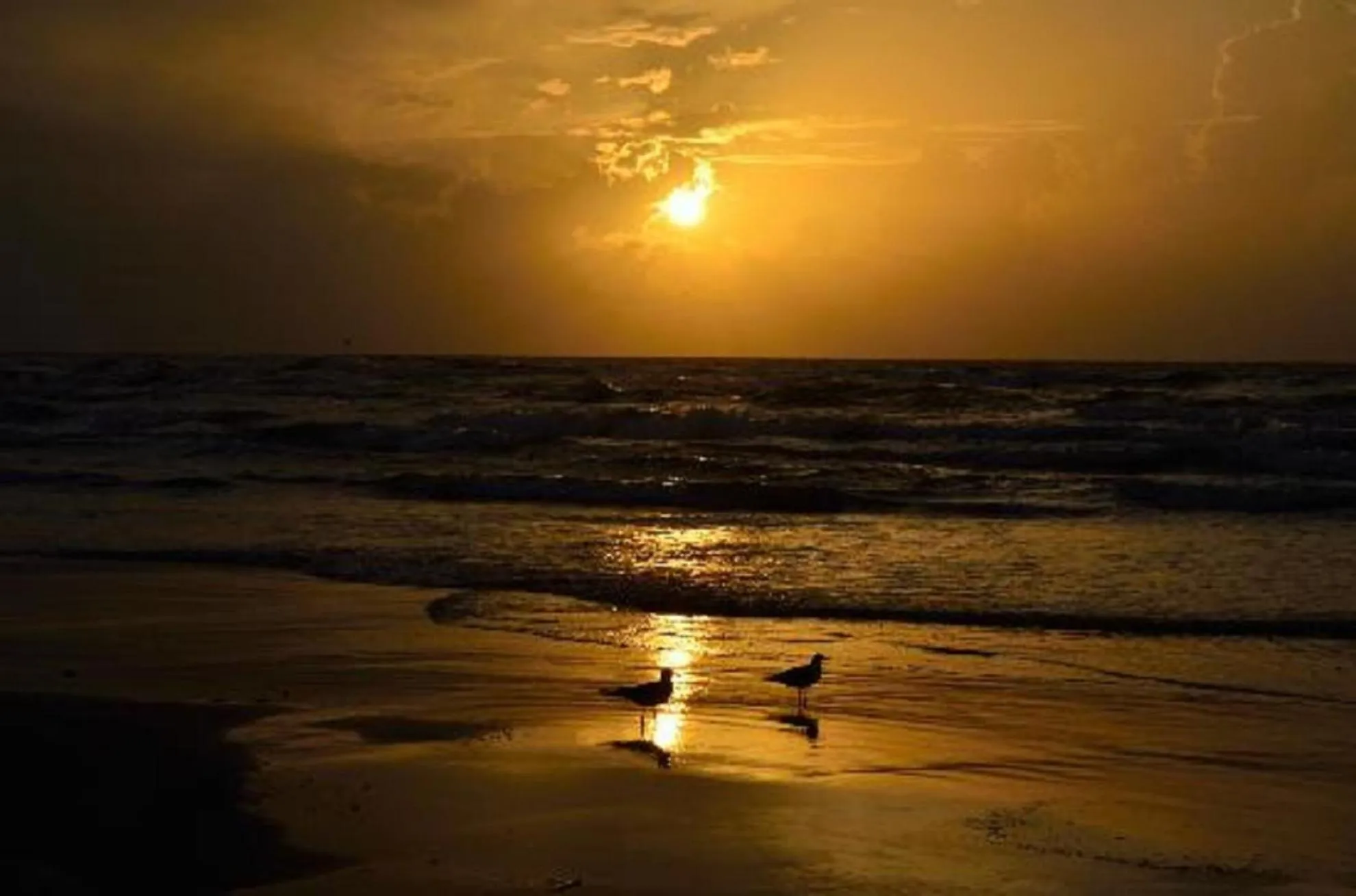 Beach in Charming family condo - walking distance to beach by Mustang Island, Sleeps Four, 2025 Traveler Award