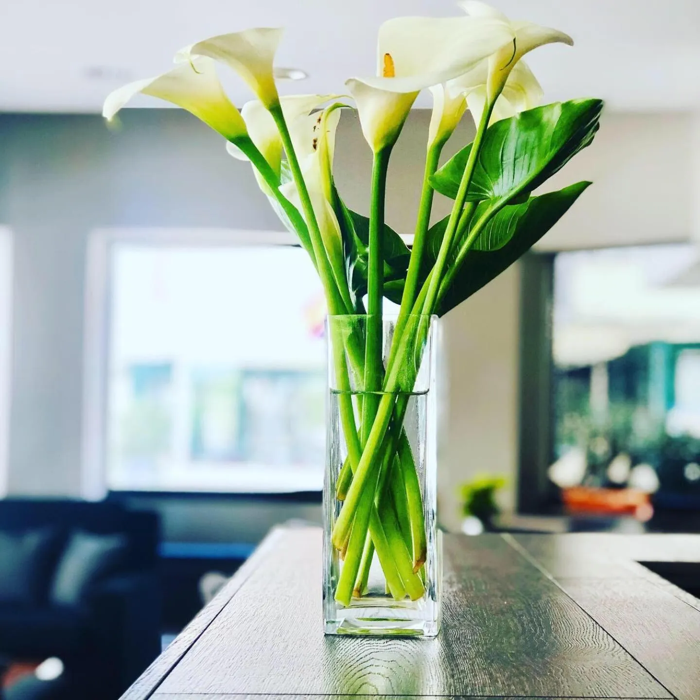 Lobby or reception in Mediterraneo Hotel & Suites