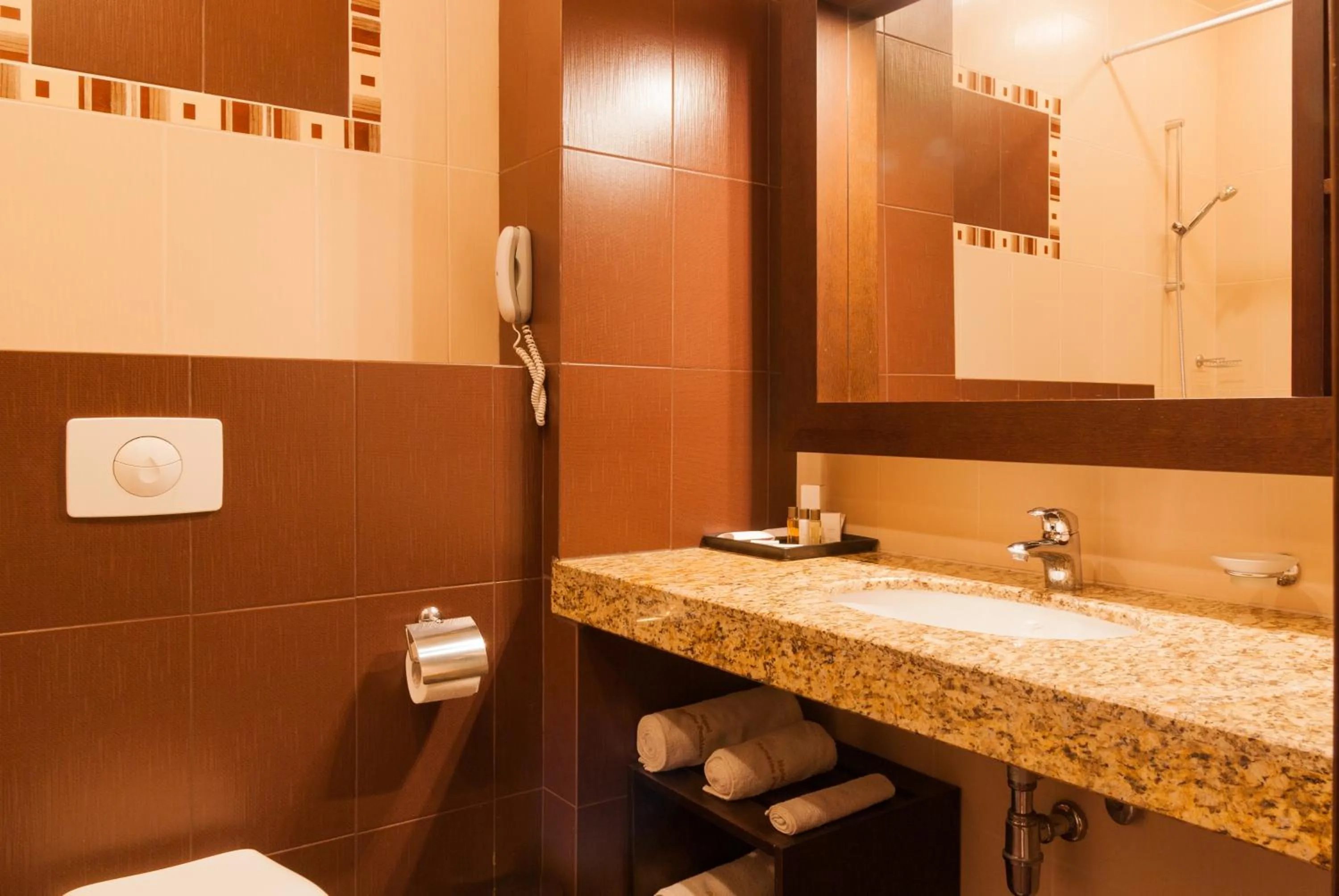 Bathroom in Hotel Domaine Peshtera