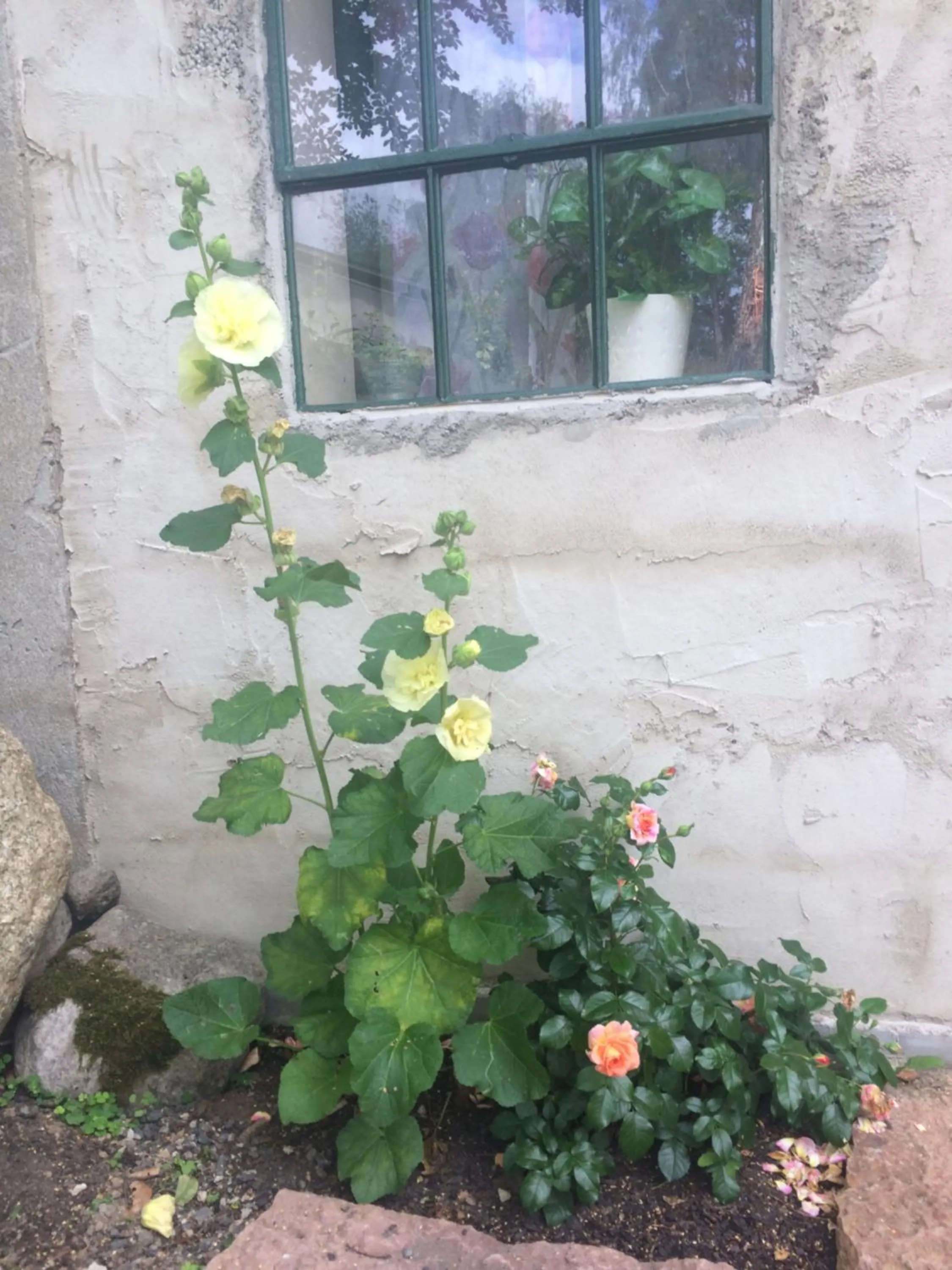 Property building in The Old Henhouse