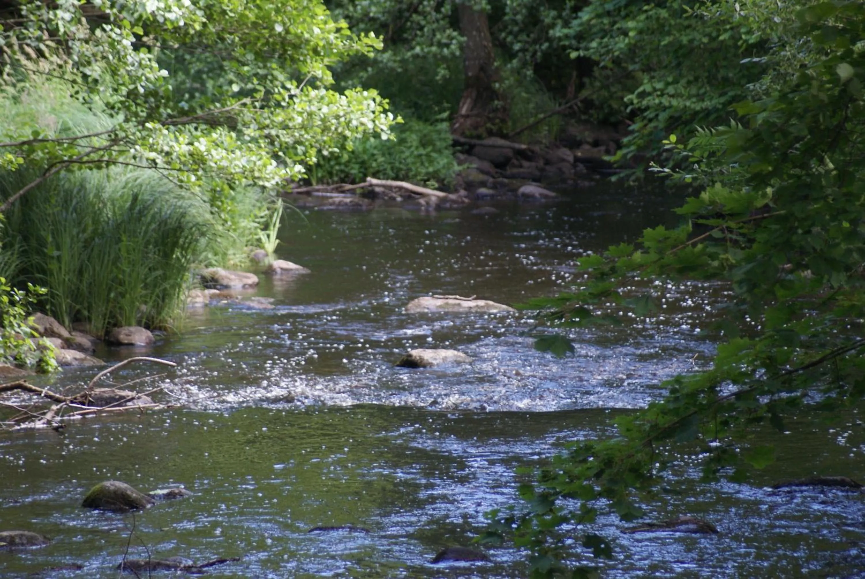 On site in The Old Henhouse