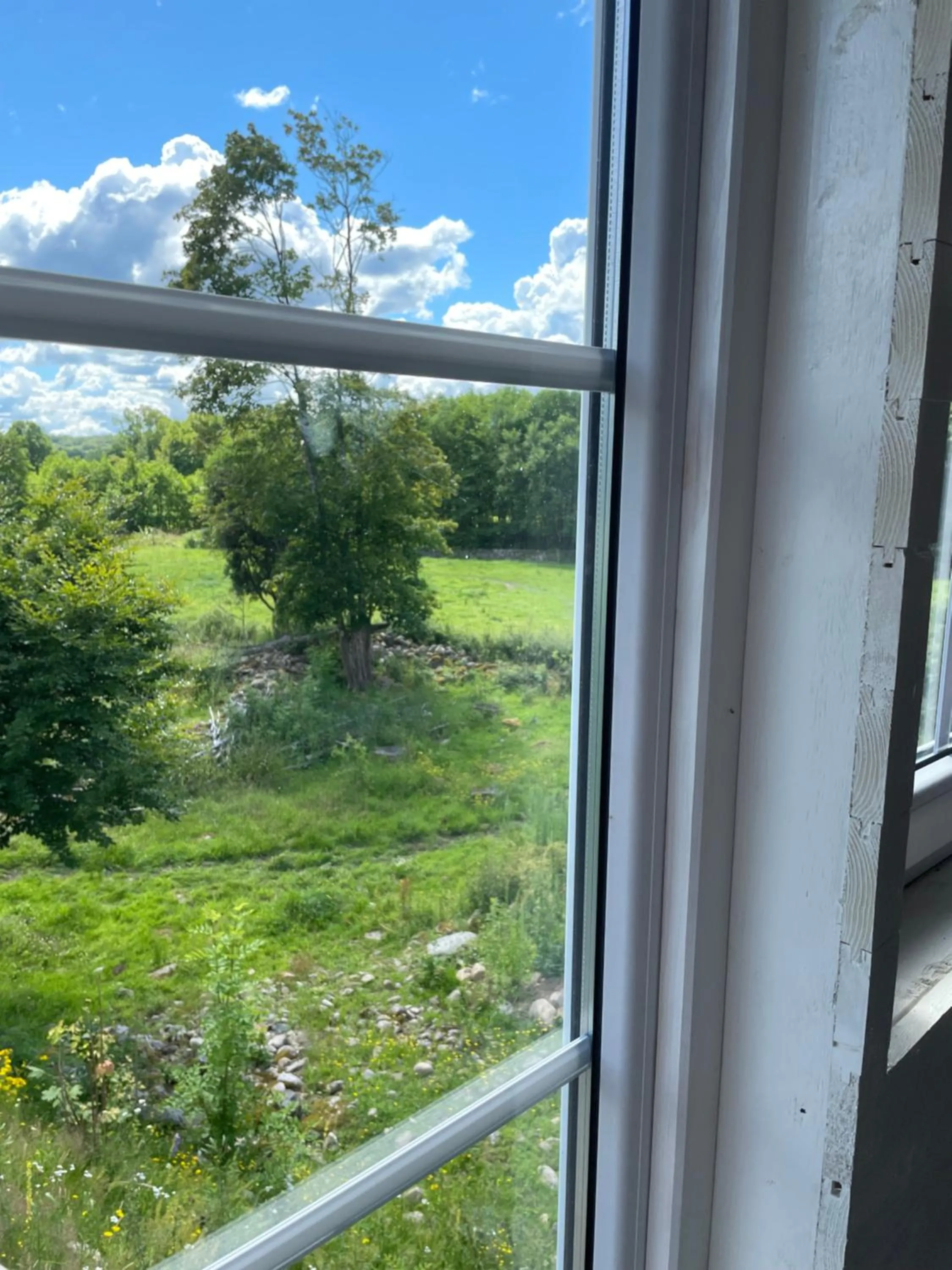 Garden view in The Old Henhouse