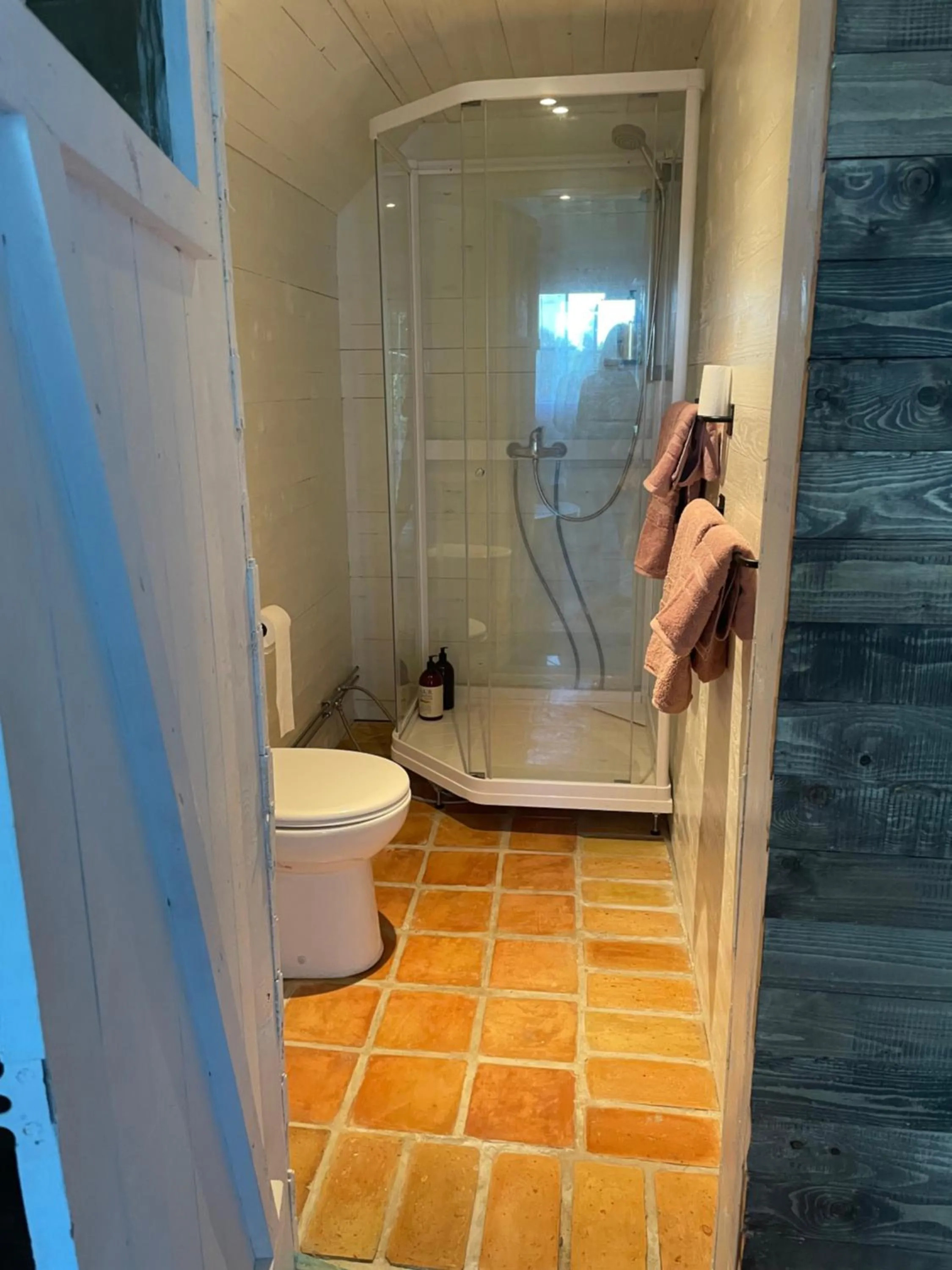 Bathroom in The Old Henhouse